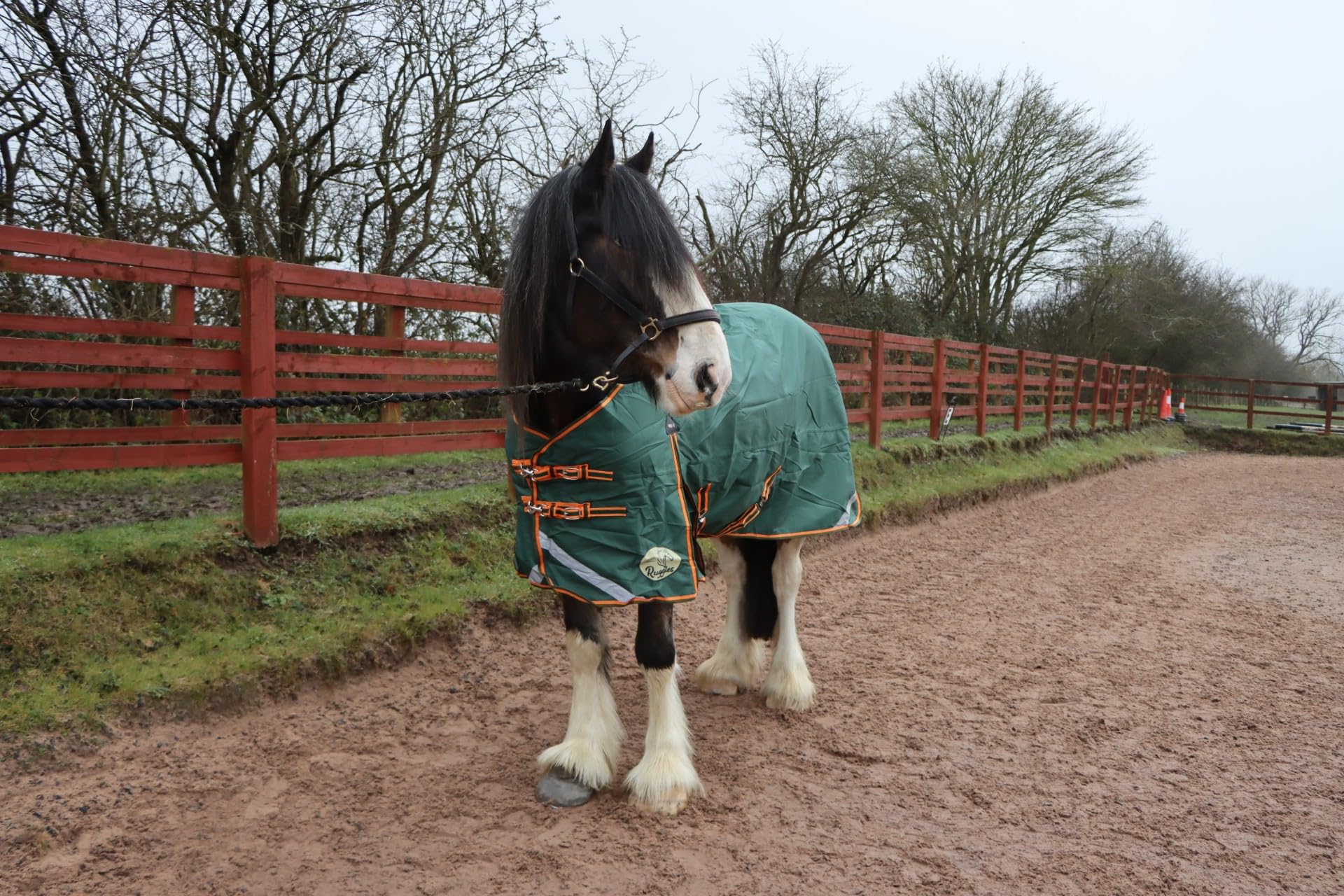 Ruggles 400g Heavyweight Turnout Rug for Heavy Horses - Shires Clydesdale Percheron |1200D Teflon Coated Outer fabric | Warm and Cosy Rug for Colder Weather (Dark Green, 7' 6")