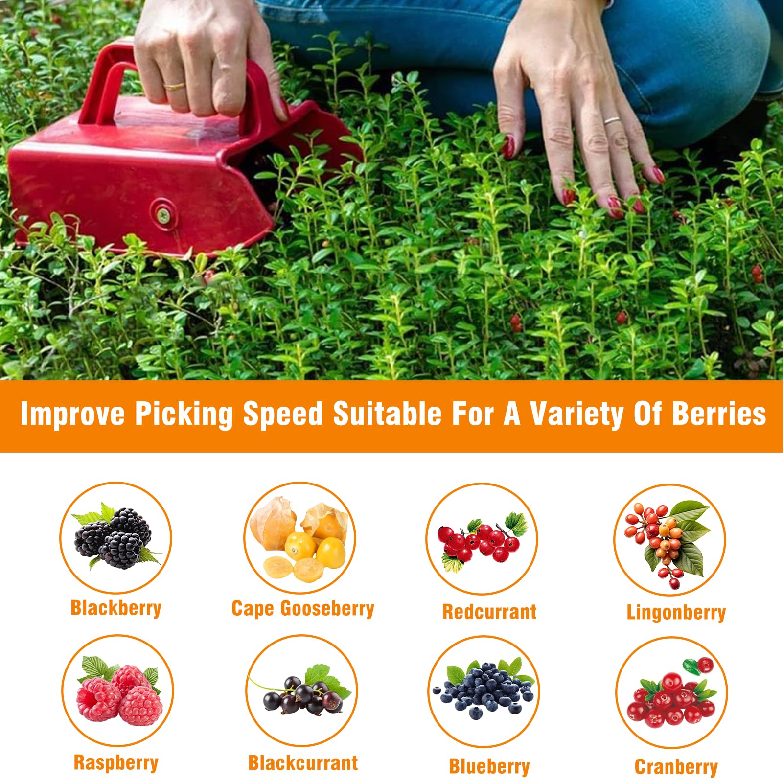 Beerenpflücker Aus Metall - Effizienter Kamm Für Blaubeeren & Heidelbeeren