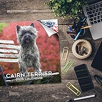 Vista 859 de Razas de Perros 2017