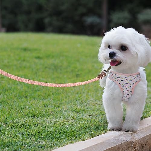 Miniatura 6 de Mile High Life Correa para cachorros para perros pequeños, correa ligera con cierre de metal y conexión de cuero, correa para entrenamiento de