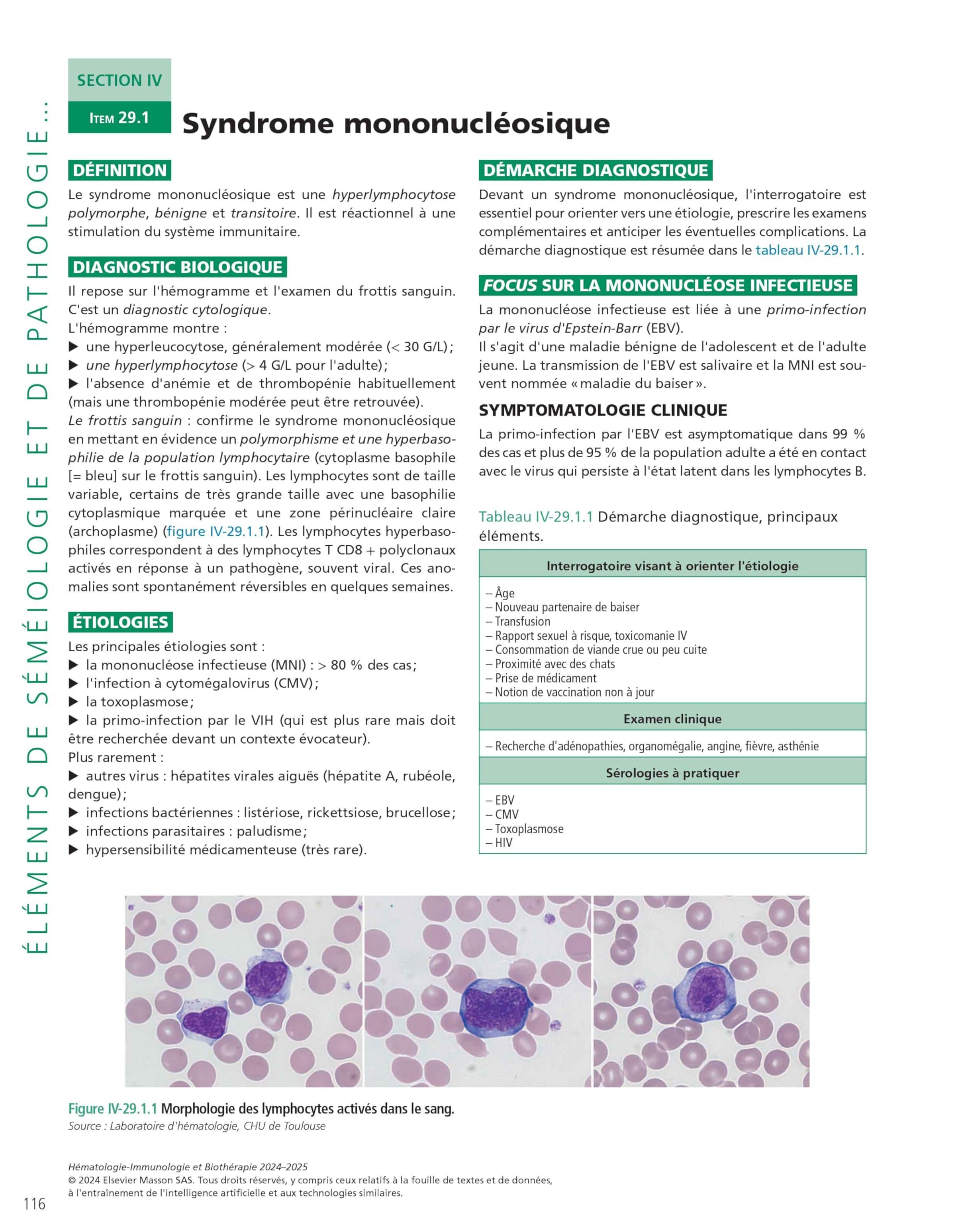 Hématologie-immunologie et biothérapie: L'enseignement en fiches