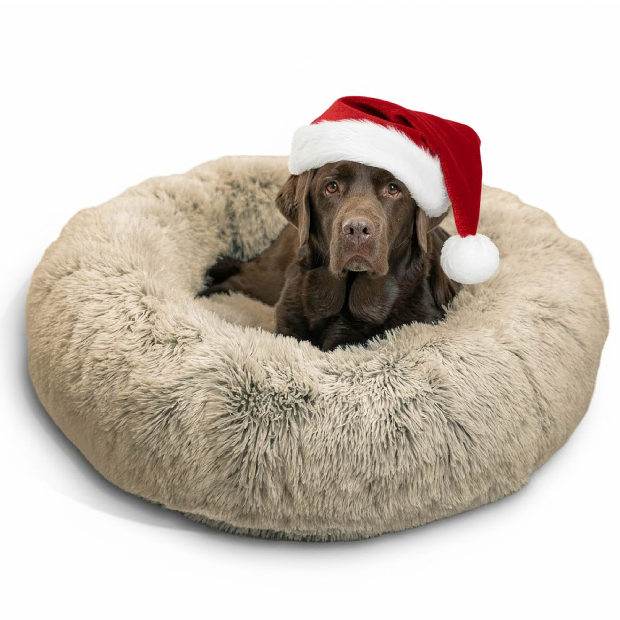 Sheri Best Friends Luxury Shag Fax Fur Donut Dollar (Multiple Sizes) - Round Donut Cat and Dog Cushion Bed, Orthopedic Relief, Self Warming, Cozy Sleep - Prime, Machine Washable, Waterproof Bottom 36