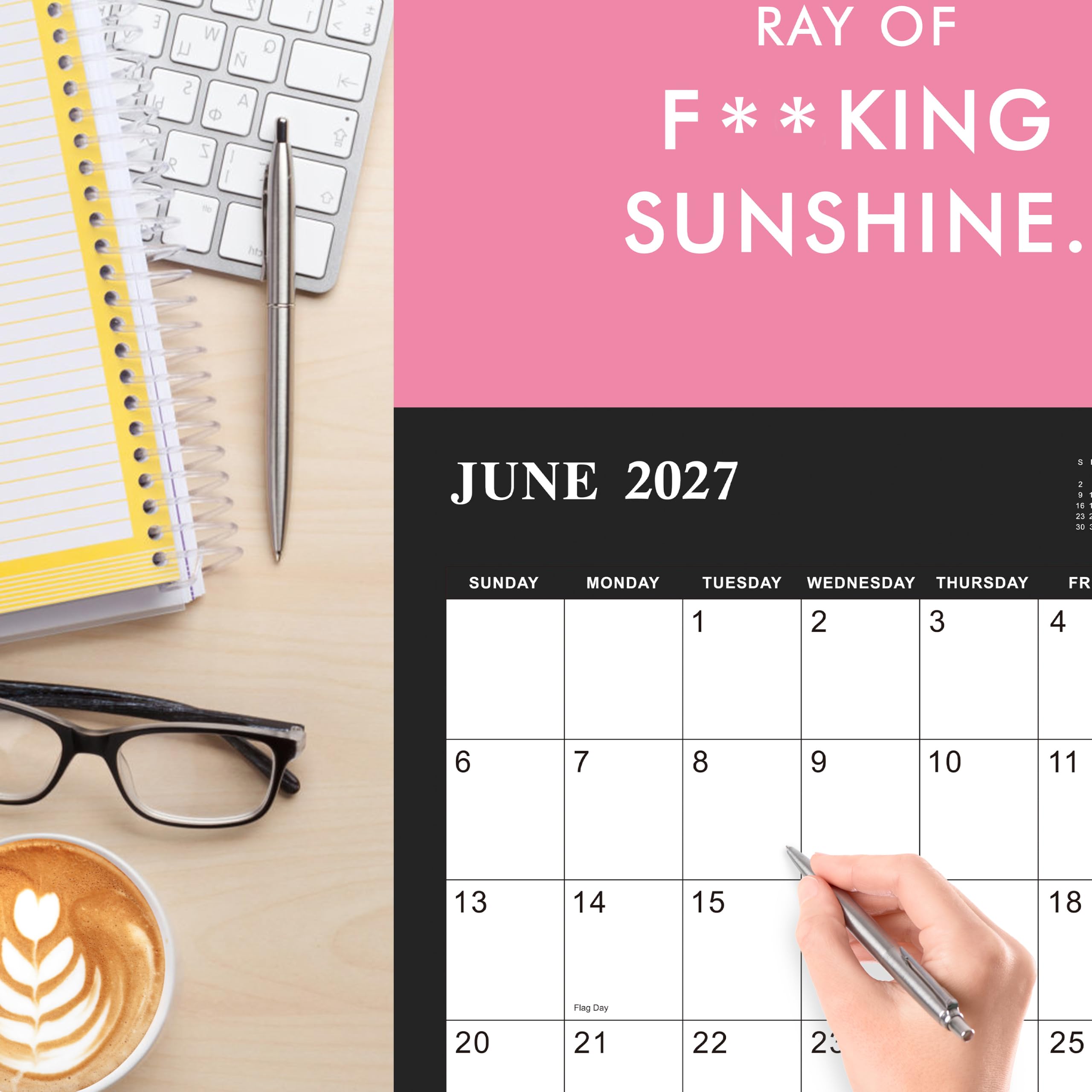 Amazon.com: 2027 Calendar – 2027 Wall Calendar Funny, 12 Monthly