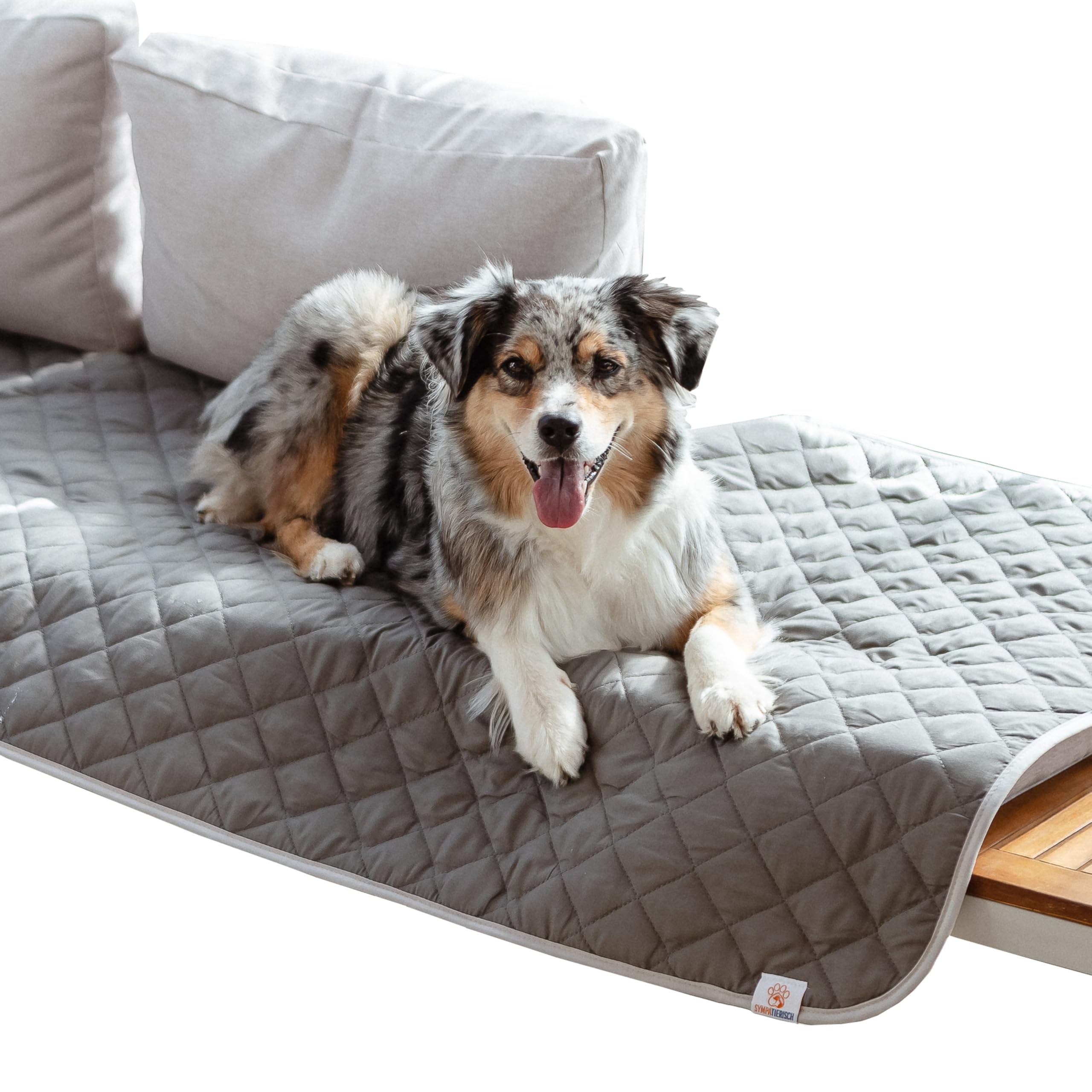 Manta para perros impermeable y lavable – Manta para perros de alta calidad para sofá, coche y suelo, 6 capas, resistente al agua, lavable a máquina hasta 60 °C – 210 x 160 cm