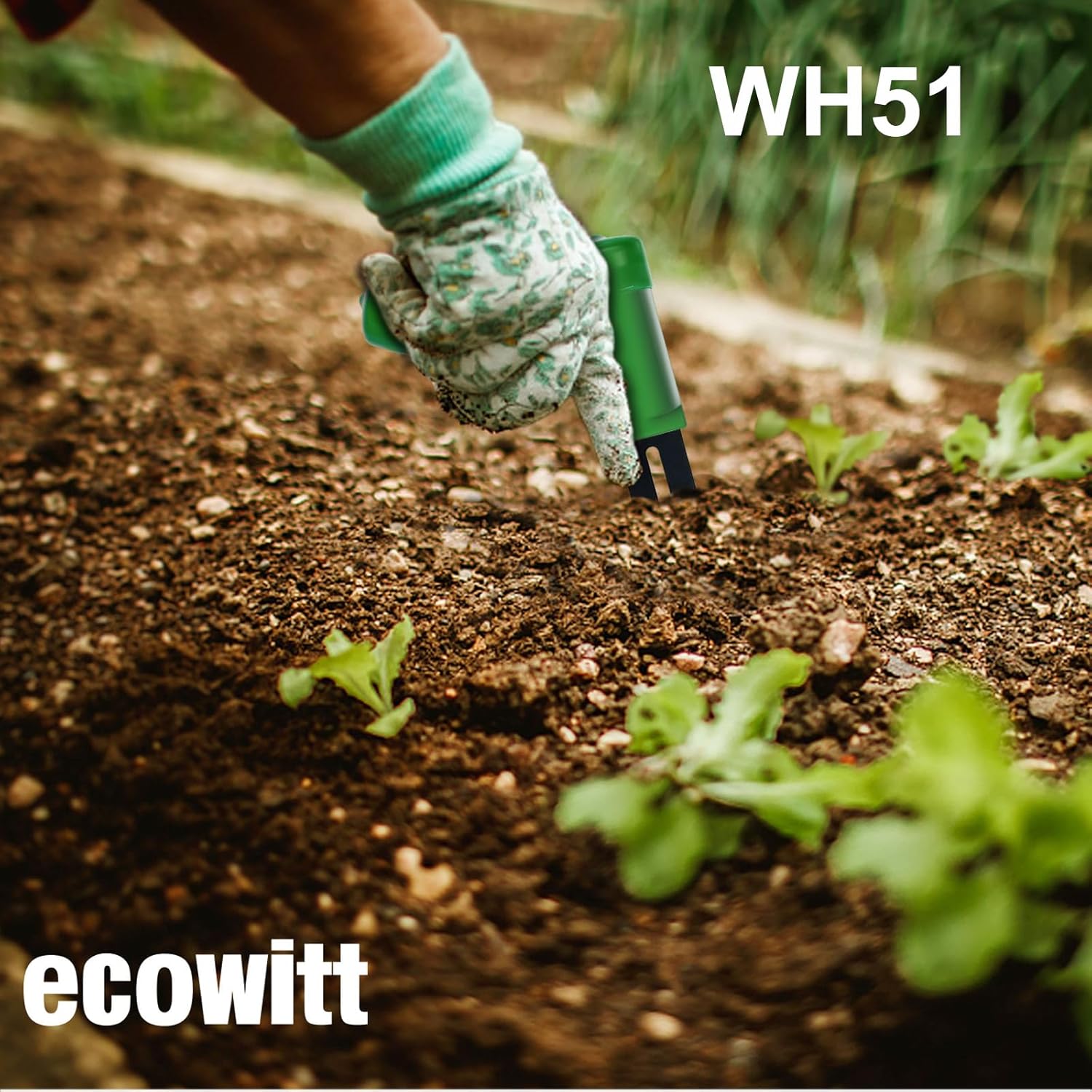 ECOWITT WH51 Soil Moisture Sensor Soil Humidity Tester - Accessory Only, Can Not Be Used Alone