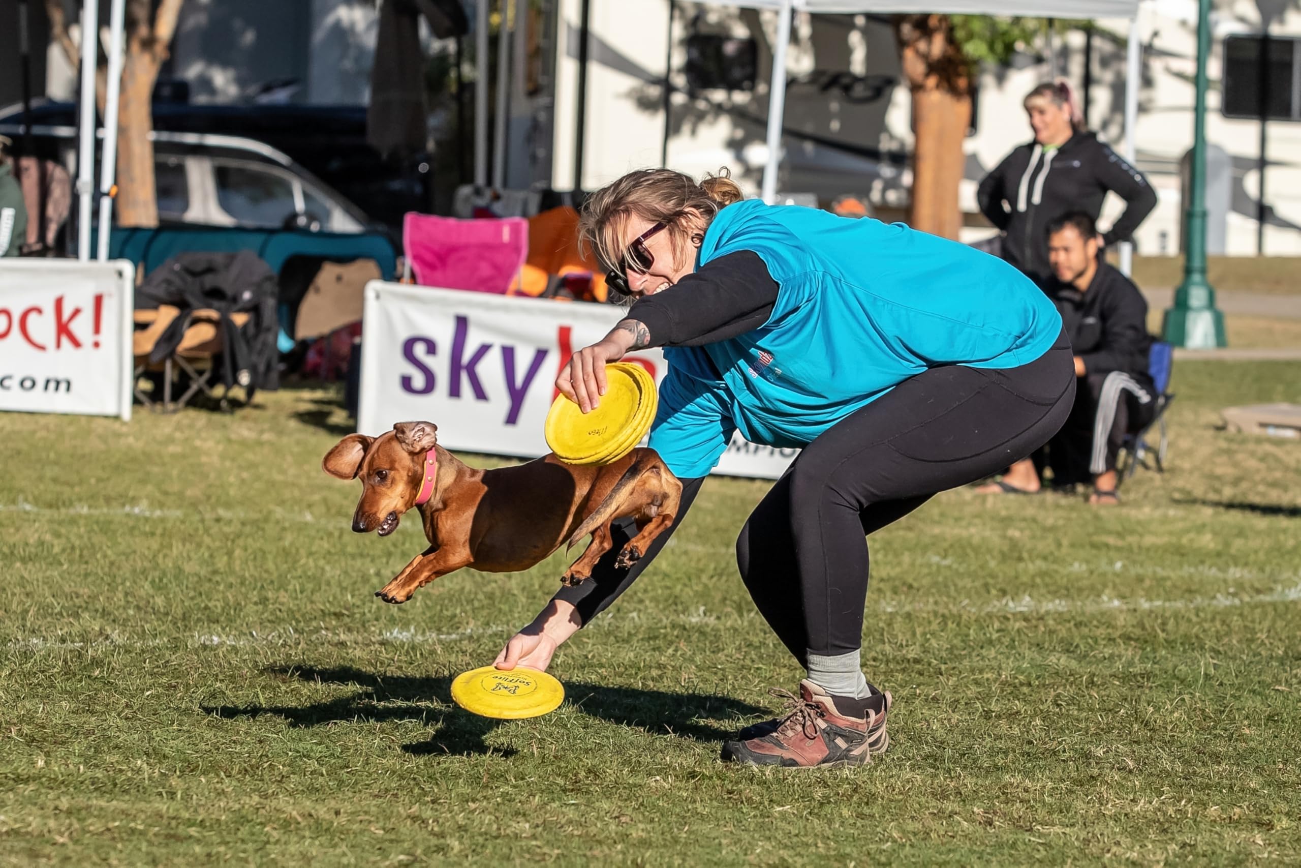 Hyperflite K-10 Pup SofFlite Dog Disc