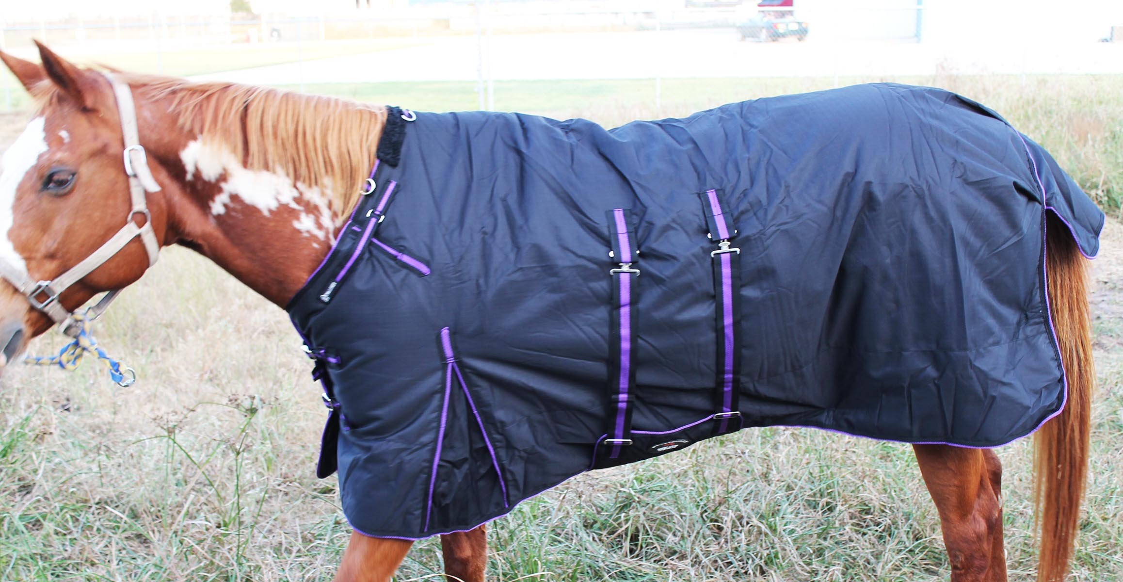 60" Challenger 1200D Turnout Waterproof Horse Heavy Winter Blanket w/Bellyband Purple 565B