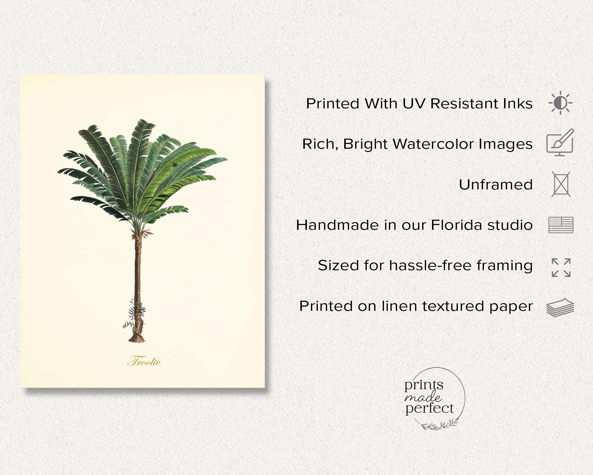 Amazon.com: Vintage Botanical Palm Tree Wall Art - Set of 9