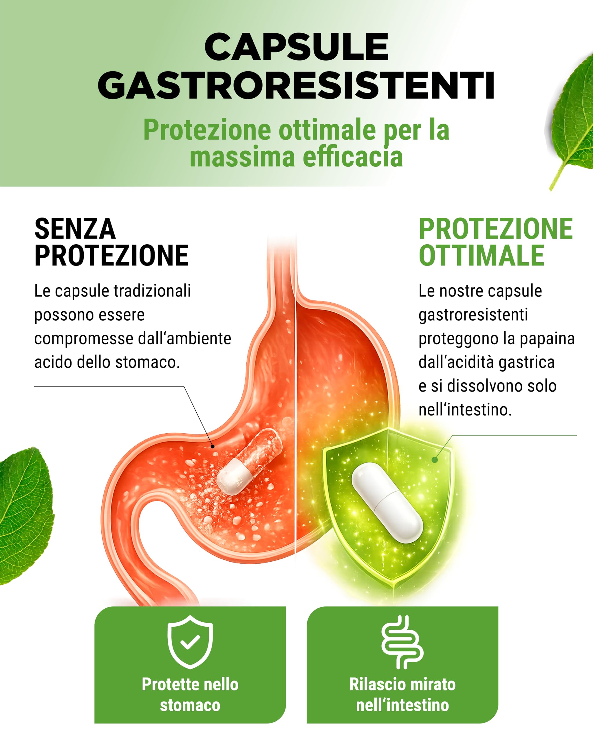vit4ever Enzima di Papaya ad Alto Dosaggio - 2100 mg di Papaina da Papaya - 12.600.000 U di Attività Enzimatica - 180 Capsule Vegane Gastroresistenti - Senza Additivi Inutili