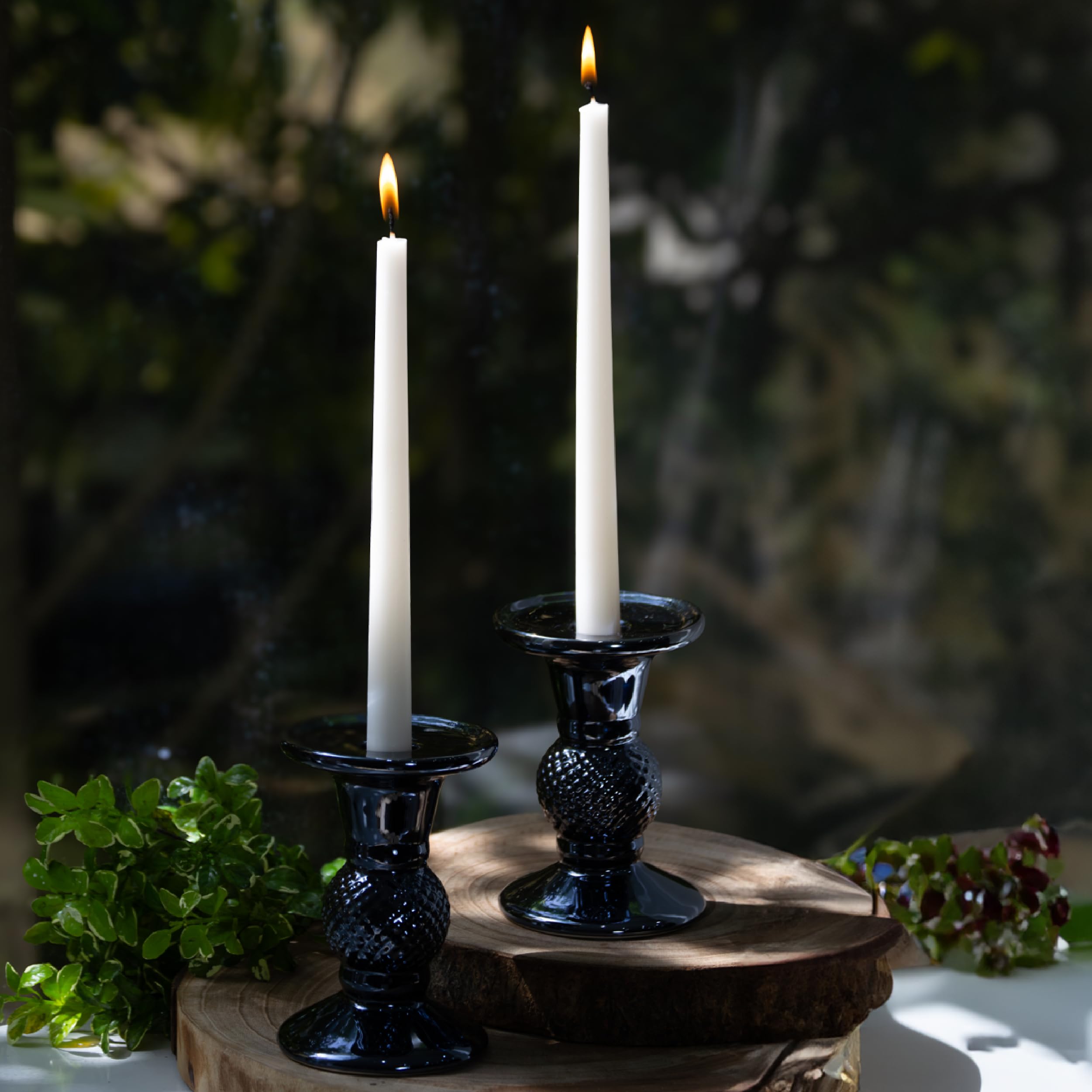 Estrella Blanca Taper Candles White 10 Inch – 12 Pack, Dripless Tall Tapered Candle Sticks, Elegant White Decor for Candle Holders, Weddings, Dinner, Events, Church, Party Centerpieces
