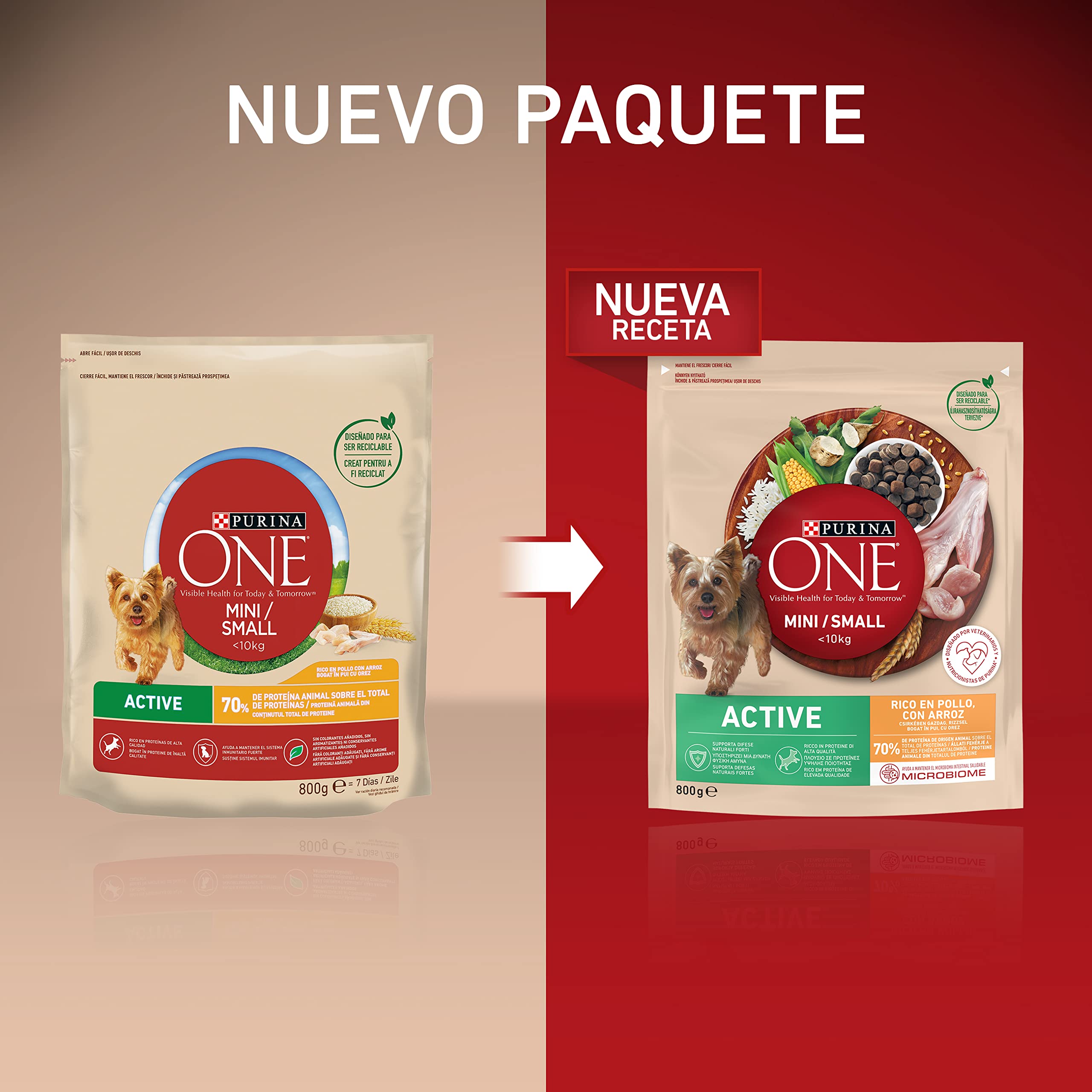 Purina ONE Mini <10kg pienso perro pequeño Activo Pollo 4x3 kg