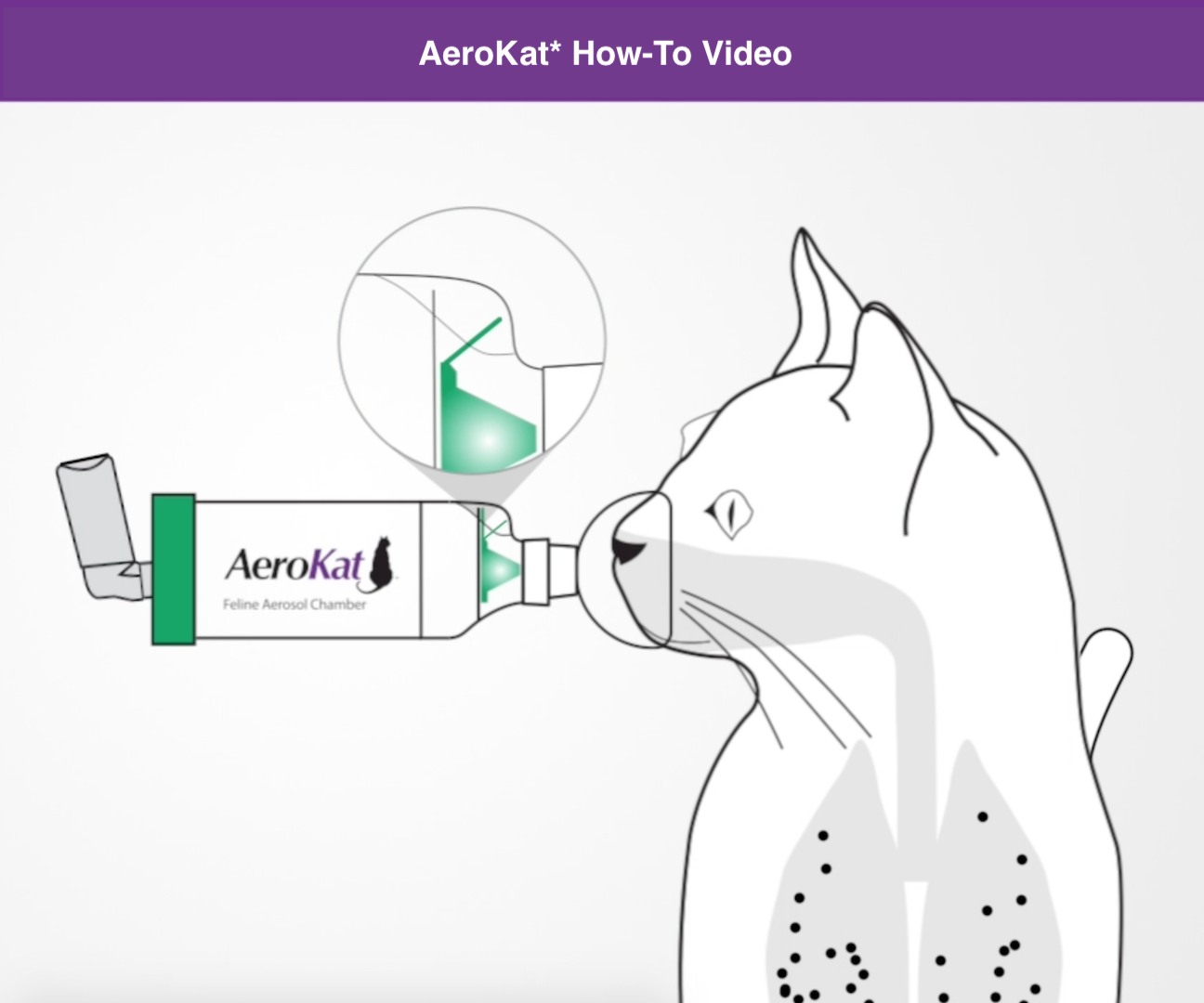 Amazon.com : Aerokat The Original Feline Aerosol Chamber Inhaler