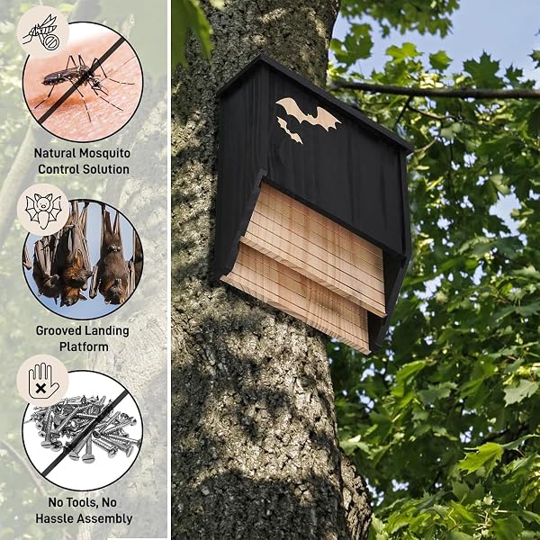 Caja para murciélagos de madera, doble cámara, resistente a la intemperie, casa de murciélagos y nido, listo para montar, caja de refugio para murciélagos en verano e hibernación, color negro - 3