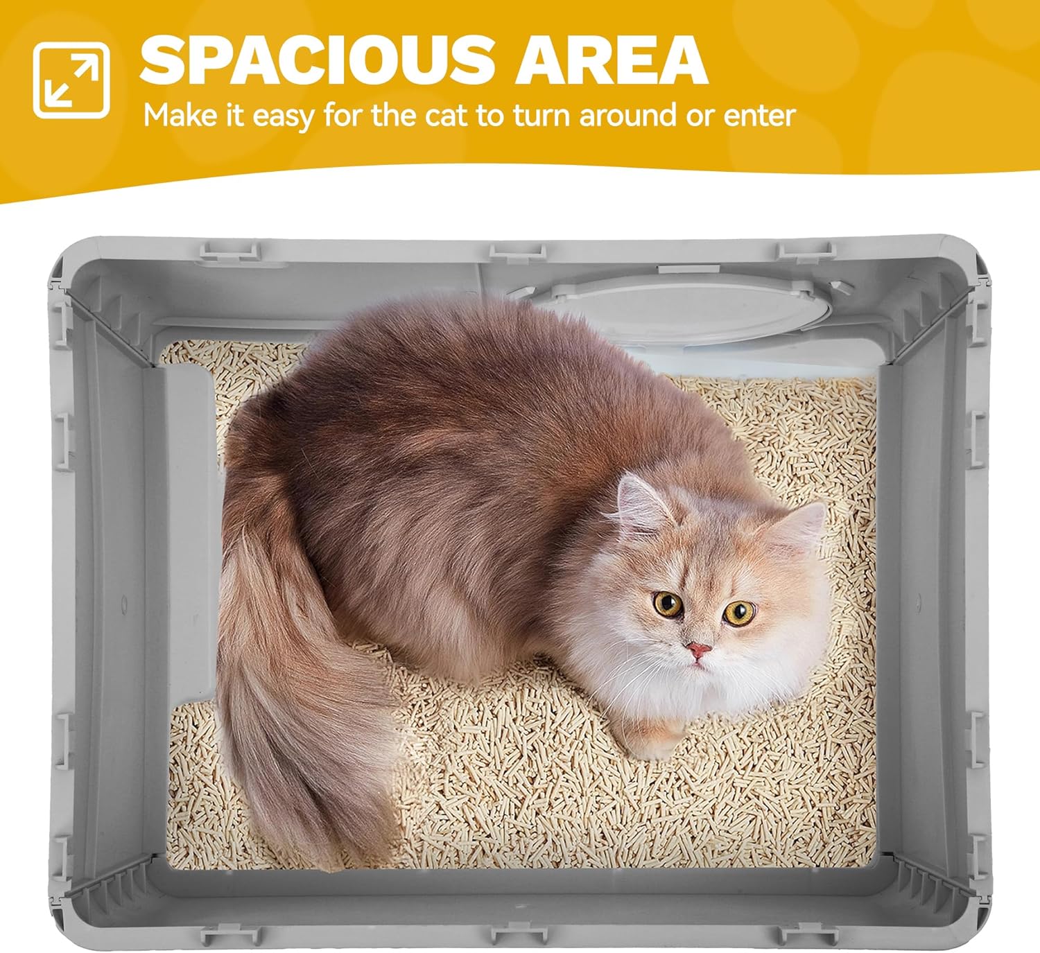 Cat inside the spacious DWVO Enclosed Cat Litter Box
