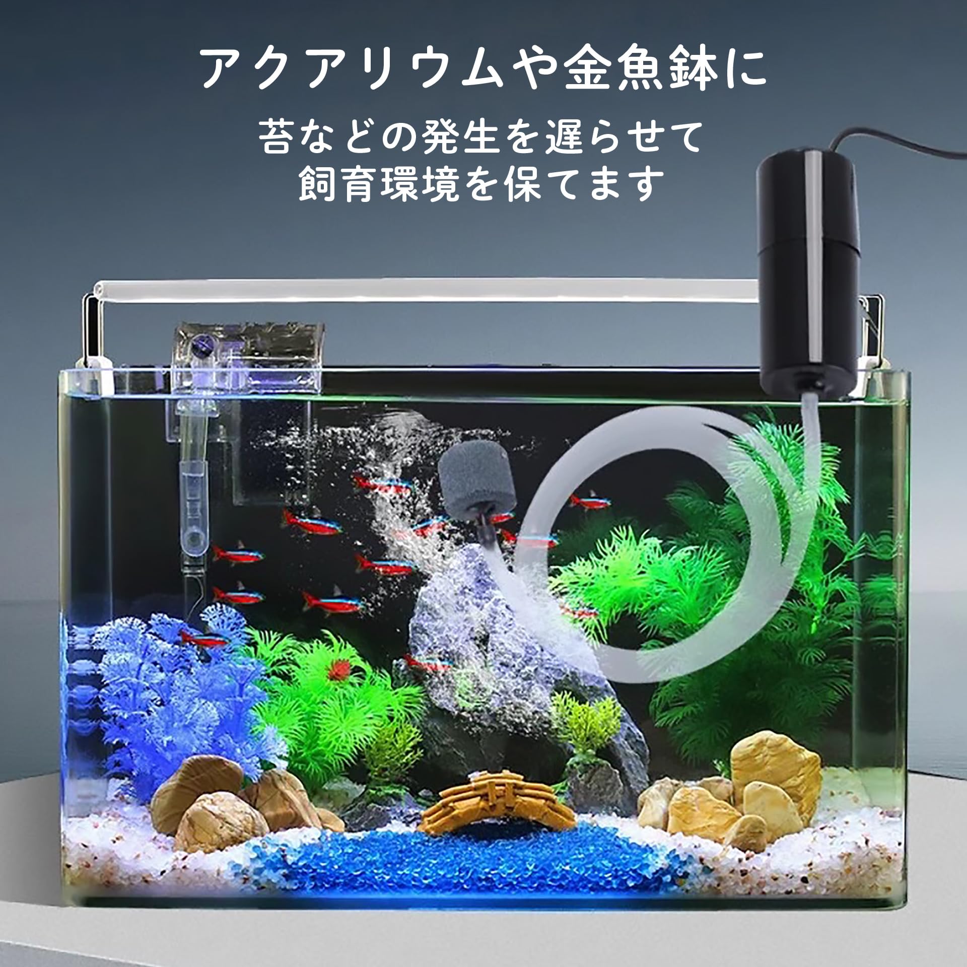 Amazon.co.jp: エアーポンプ 釣り 水槽 ポンプ ブクブク エアポンプ Amazon.co.jp: エアーポンプ 釣り 水槽 ポンプ ブクブク エアポンプ