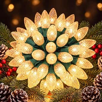 C9 Christmas Lights Outdoor, 100 FT Commercial Christmas Lights with LED Strawberry Bulbs, Warm White