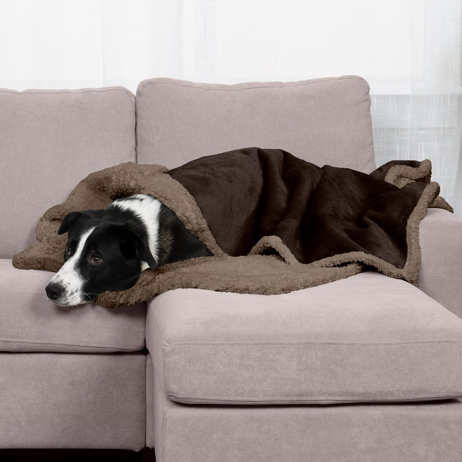 review Furhaven Waterproof & Self-Warming Throw Blanket for Dogs & Indoor Cats, Washable & Reflects Body Heat - Soft-Edged Terry & Sherpa Dog Blanket - Espresso, Extra Large/XL