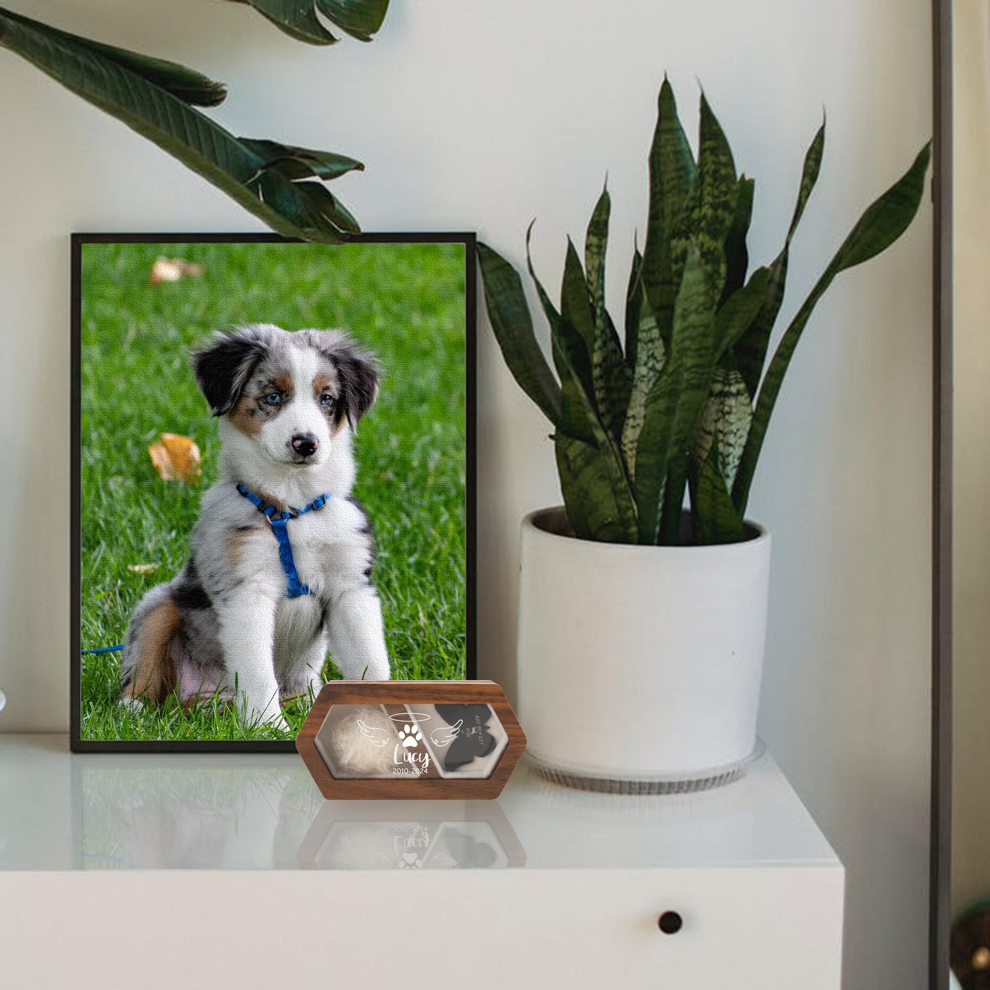 GOTOTOP Teinture Pour Poils D'animaux De Compagnie Agent De Coloration