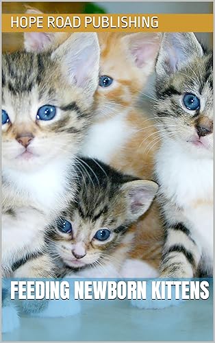 Feeding Newborn Kittens (Cat Care)