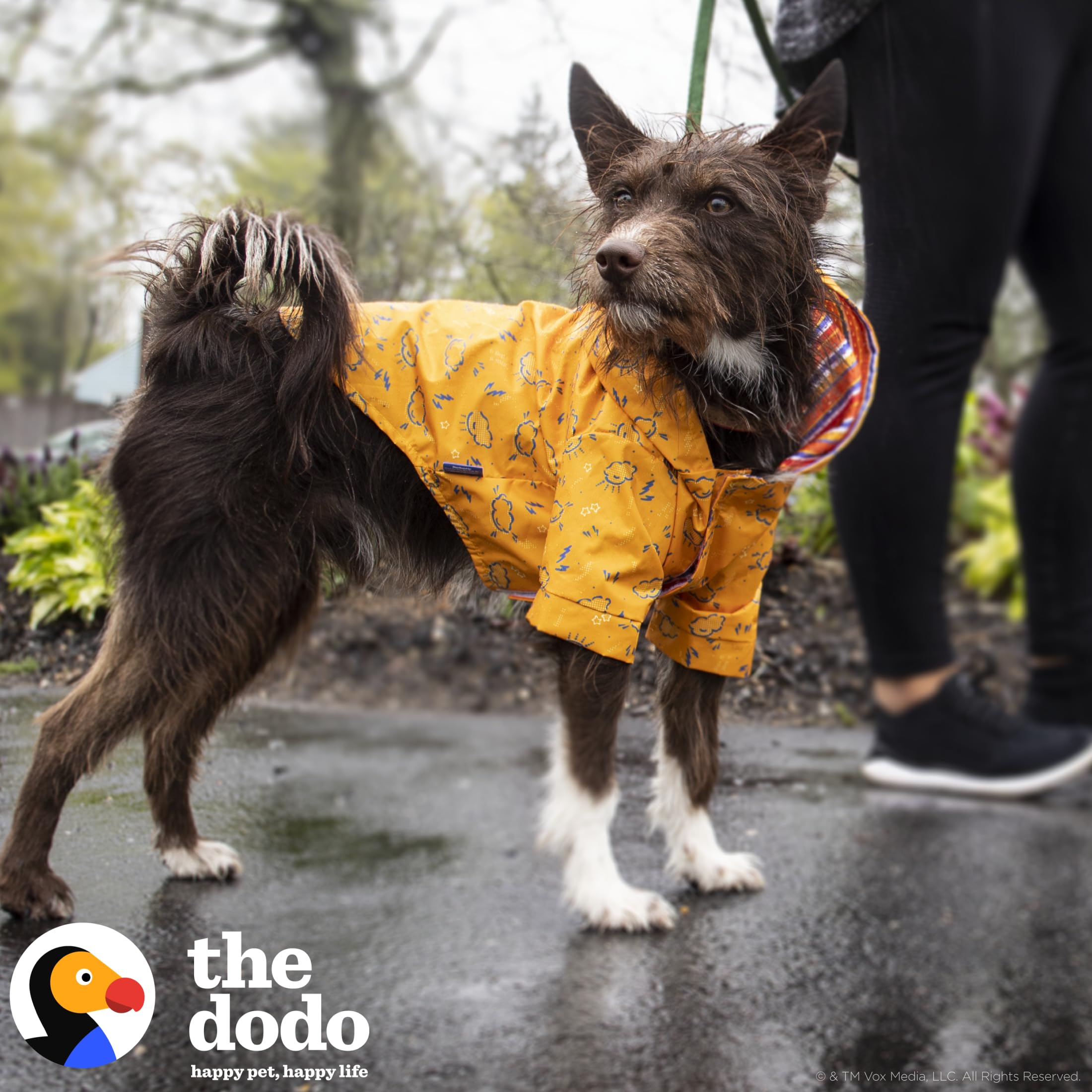 The Dodo Rainy Days Bedruckter Regenmantel für Hunde, Orange, Größe M, wasserabweisender Hunde-Regenmantel mit Klettverschluss, leicht zu reinigendes PVC-Material