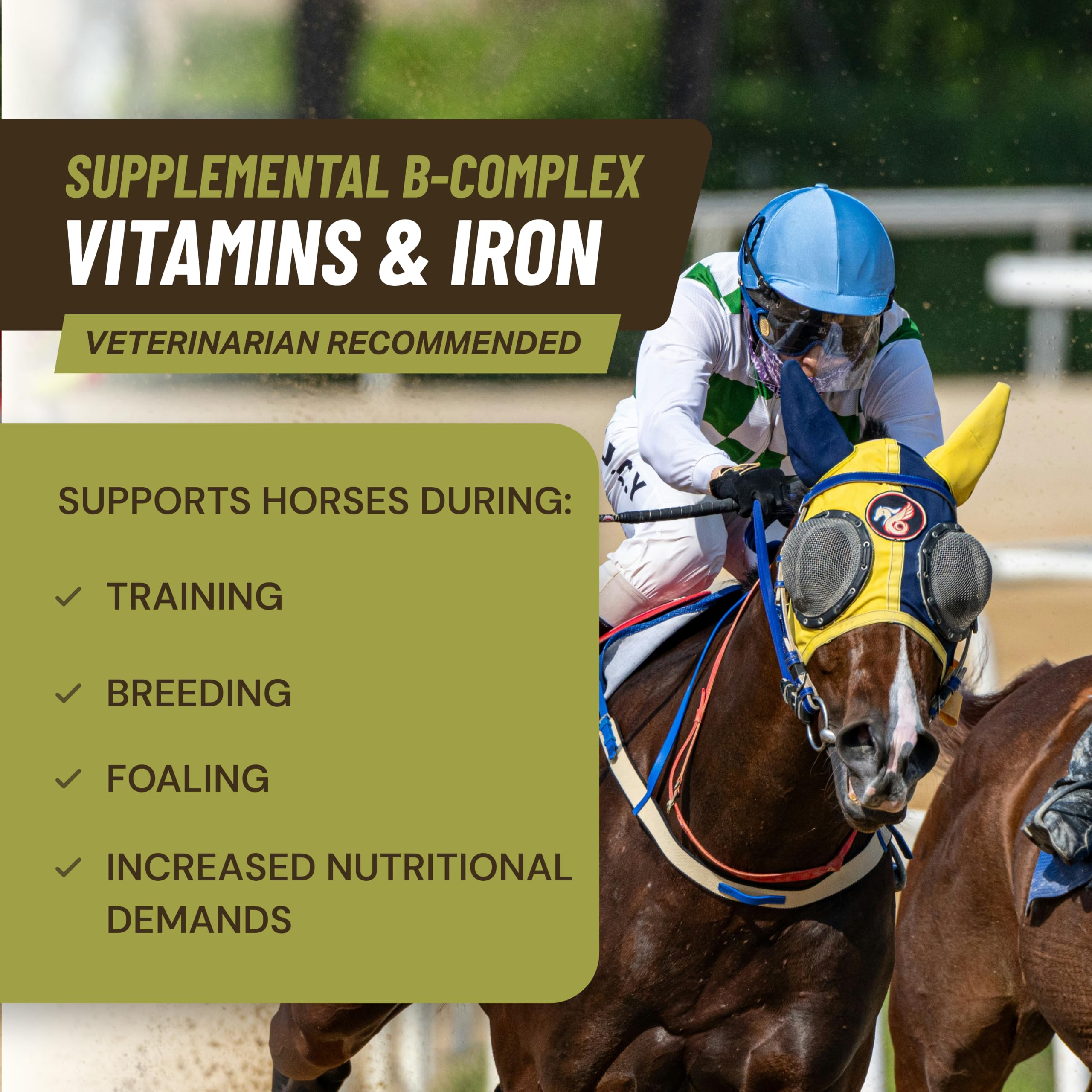 VITA-Rich B-Complex for Horses Iron Horse Supplement 1 Gallon — Amazon image 2