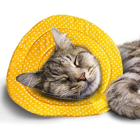 cone of shame amazon