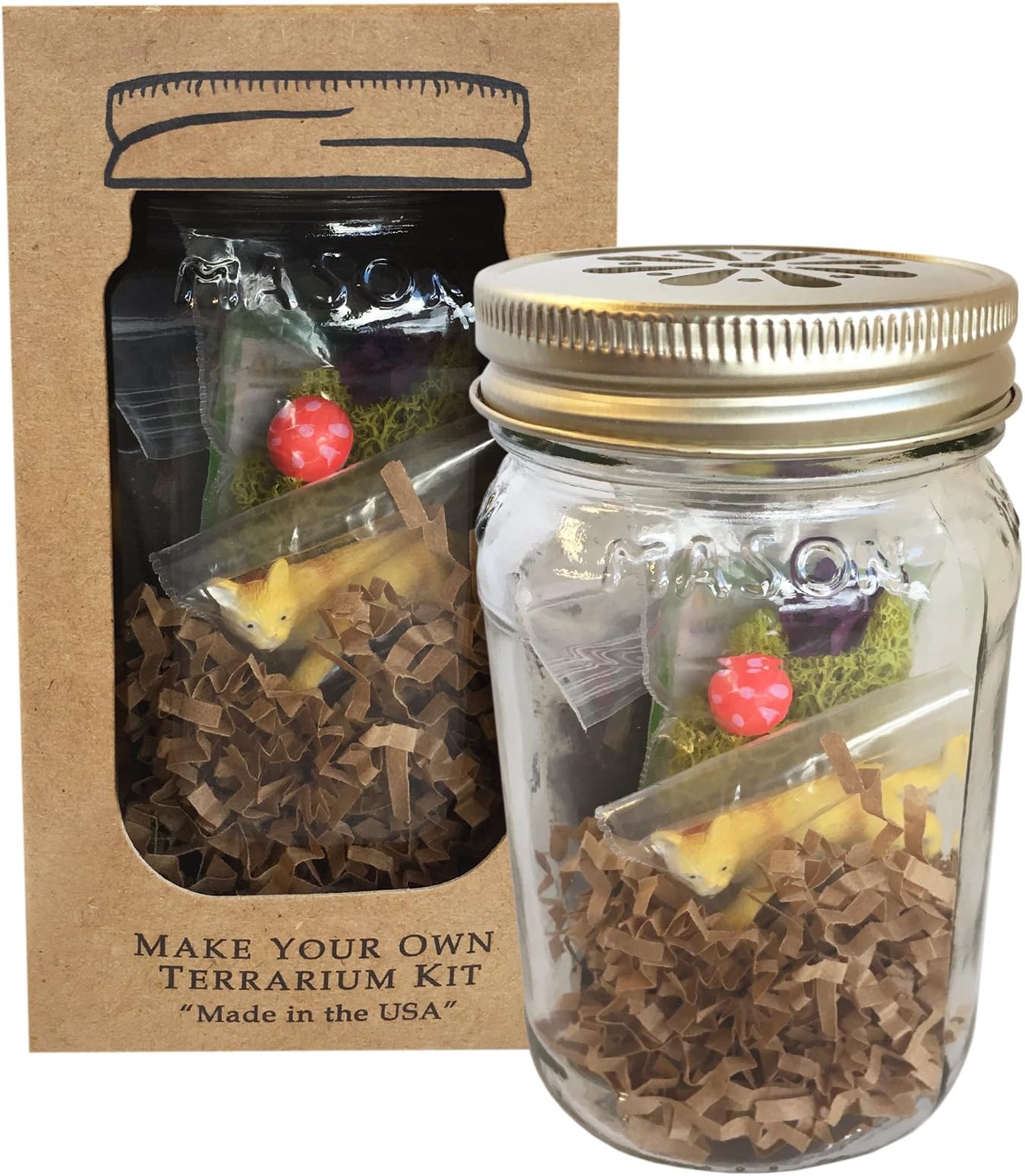 Make Your Own Mason Jar Cat Terrarium Kit