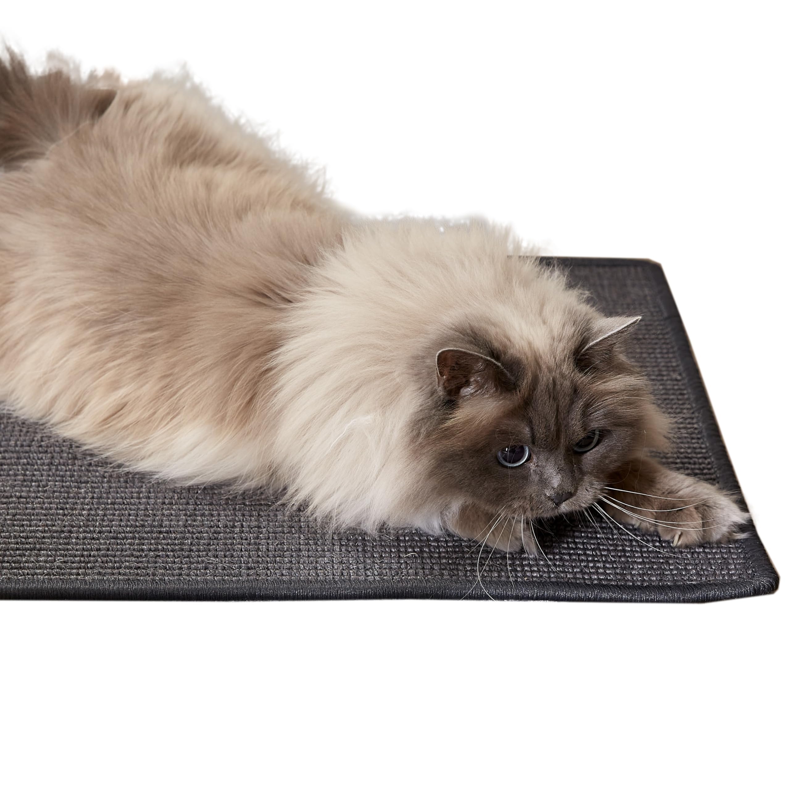 Carpido Kratzmatte für Katzen - Fußmatte Sisal Kratzteppich - natürliche Sisalmatte robust - Vorleger aus 100% Sisal - Farbe: anthrazit 140 x 200 cm