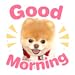 Animal Cute Sticker for WhatsApp