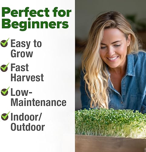 Miniatura 114 de HOME GROWN Paquete de 94 semillas de pimiento de plátano sin OMG, semillas de vegetales tradicionales de alta germinación para plantar en interiores