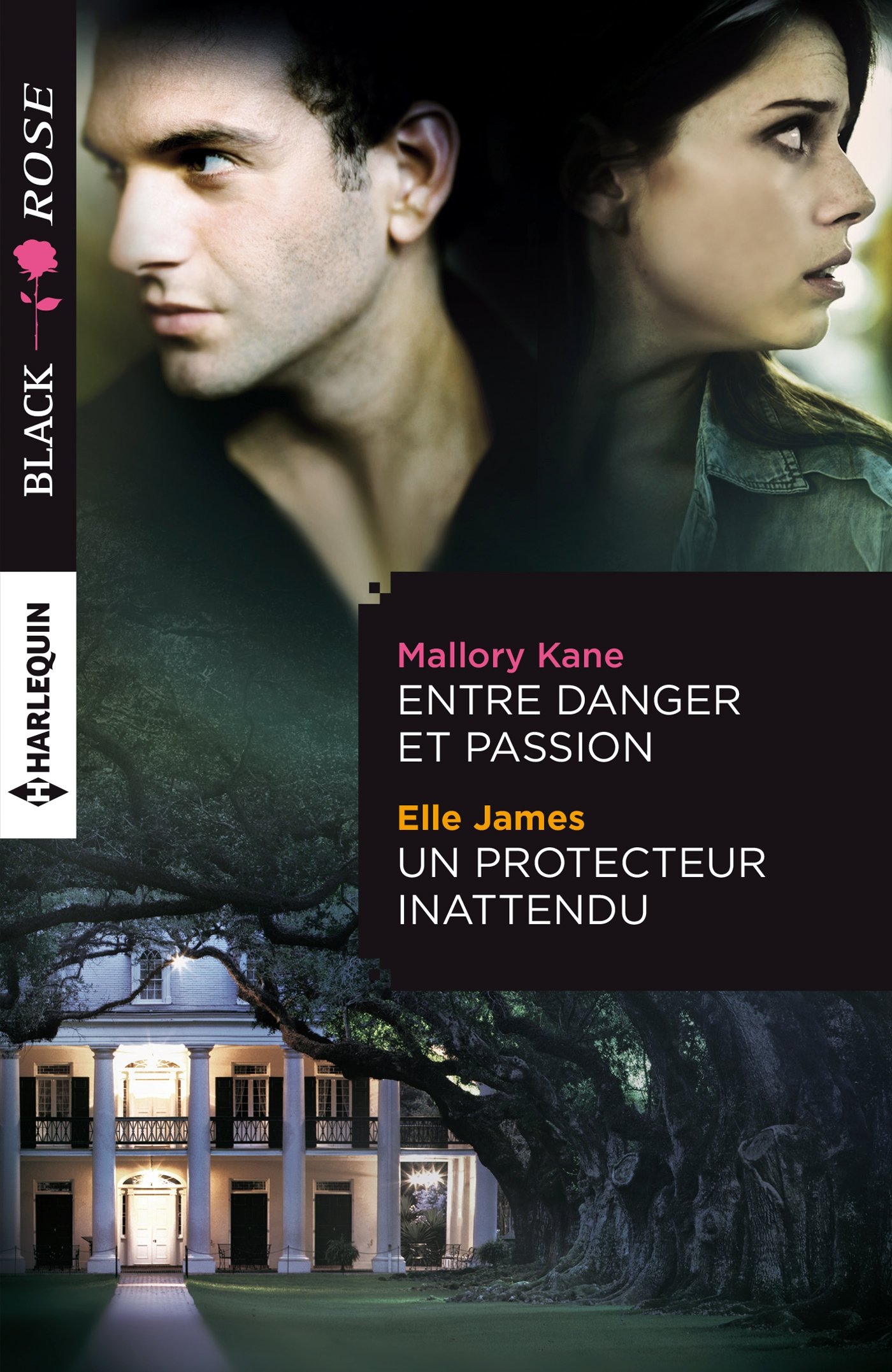 Entre danger et passion - Un protecteur inattendu (French Edition)