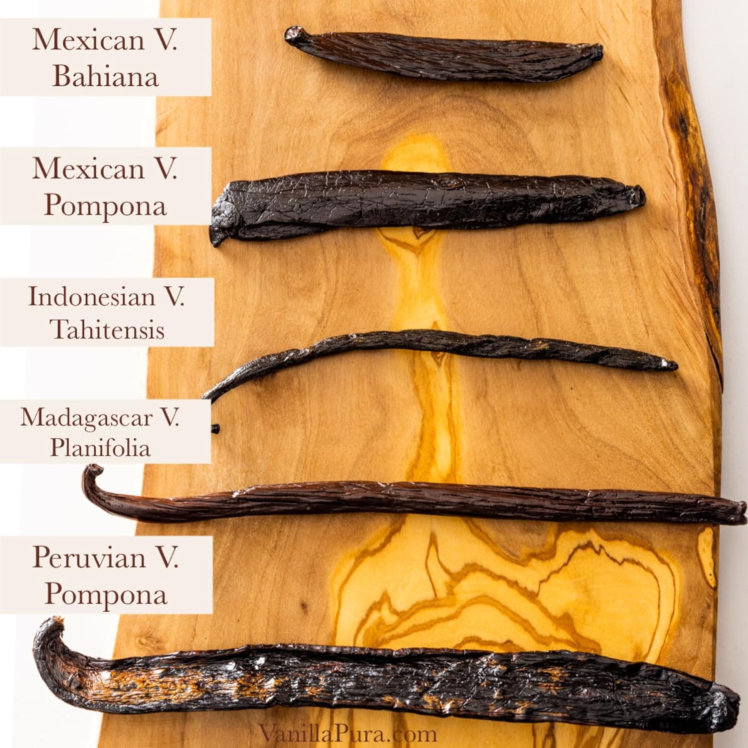 Peruvian V, Pompona Vanilla Beans - Gourmet Grade A - Vacuum Packaged - For At-Home Vanilla Extract Making, Brewing & For Use in Baking (1)