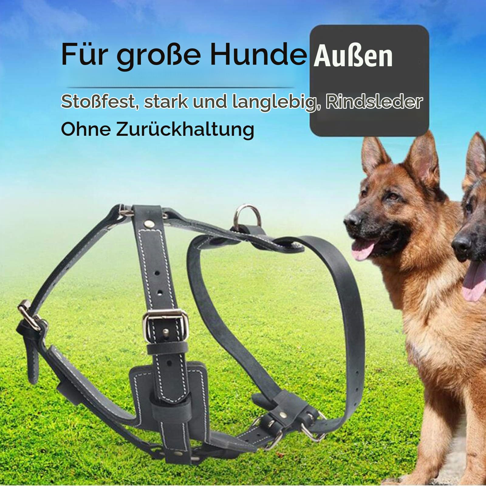 Hundegeschirr Schwarz Echtes Leder Hundegeschirr Für Mittlere Und Große Hunde Hund Weste Geschirr Schwere Pflicht Schnalle Pitbull Deutsch Schäferhund Hund XL 64-86cm Schwarz