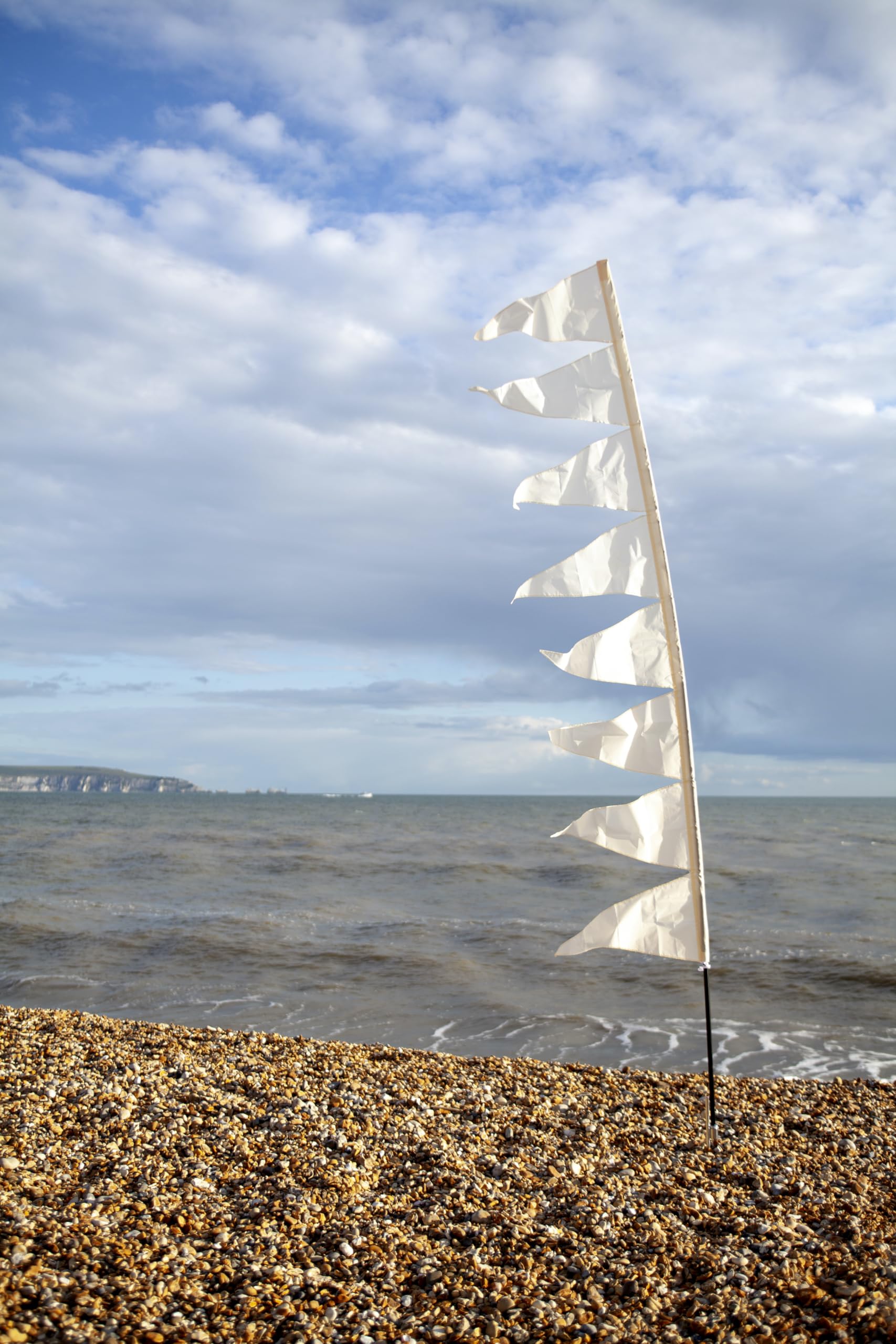 Wedding Flag - Festivology 3.4m Festival Pole with Wedding Flag (Choice of Poles Available) (4.4m Super Strong Pole)