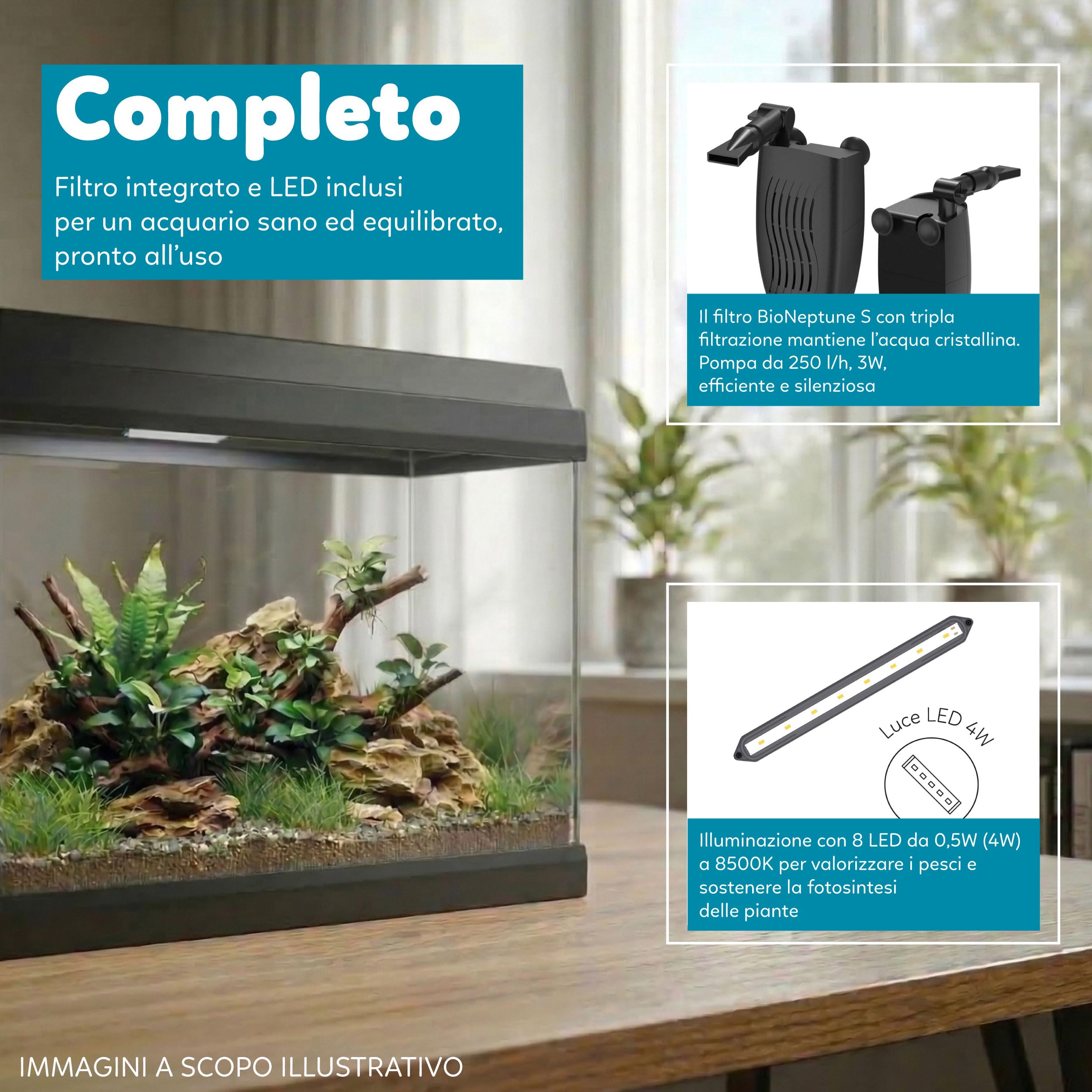 AQPET Acquario in Vetro per Pesci Tropicali Completo di Accessori Filtro Luce Simply, 30 39x22x30 cm 30 Litri