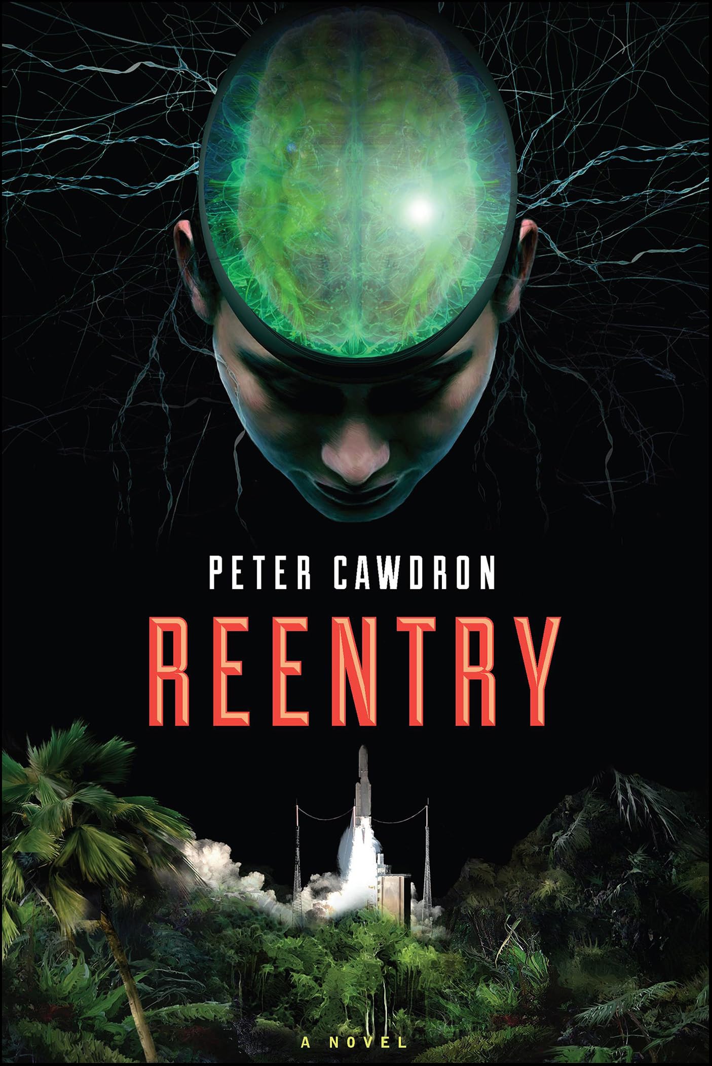 Buy Reentry: A Novel — BookShops.in