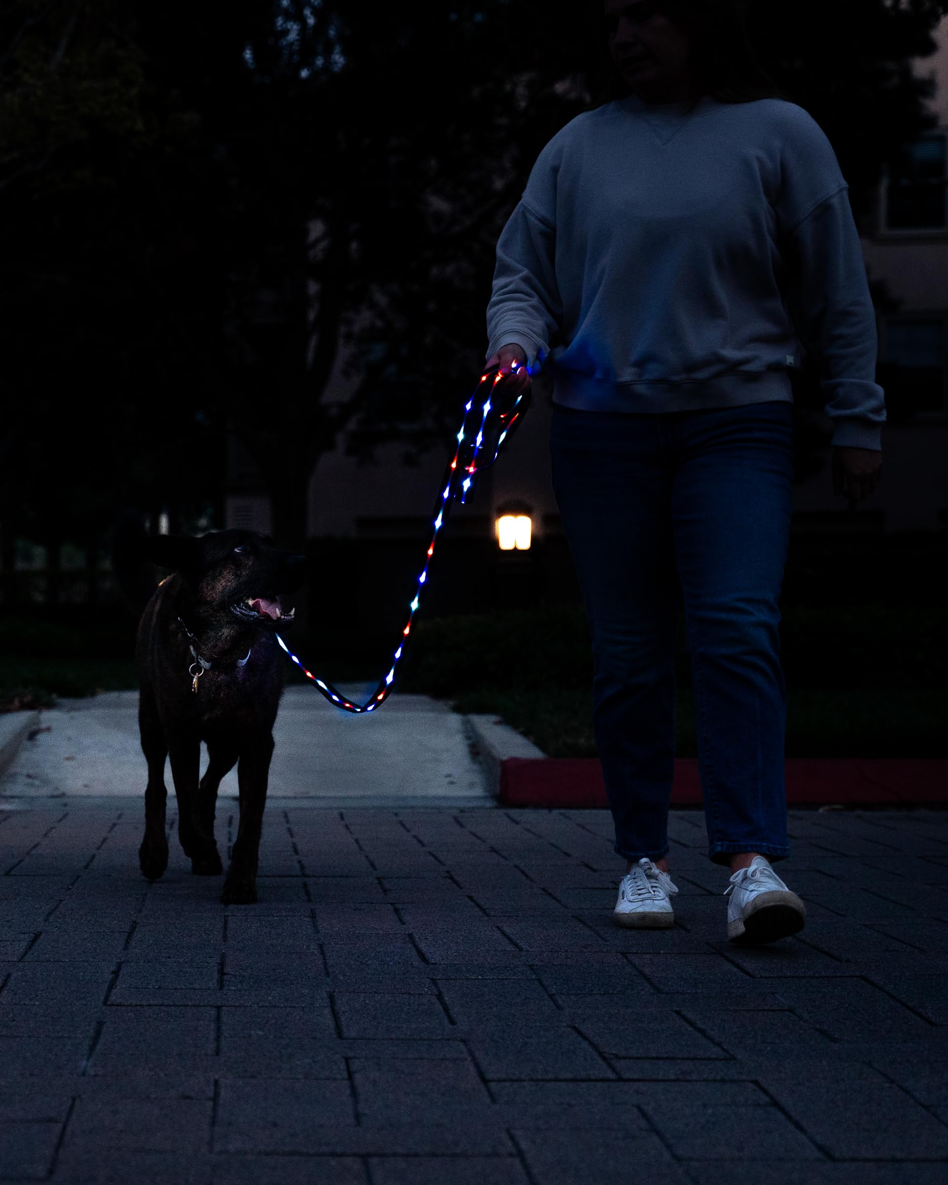 Luminoid LED-Hundeleine, wiederaufladbar über USB, RGB-Farbwechsel, beleuchtete Hundeleine, Hundeleinen machen das Haustier sichtbar und sicher für nächtliche Spaziergänge, 12 animierte Effekte,