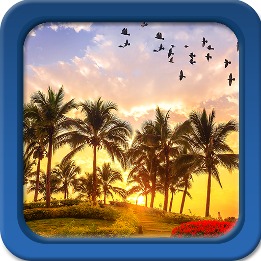 Palm Tree Live Wallpapers App on Amazon Appstore