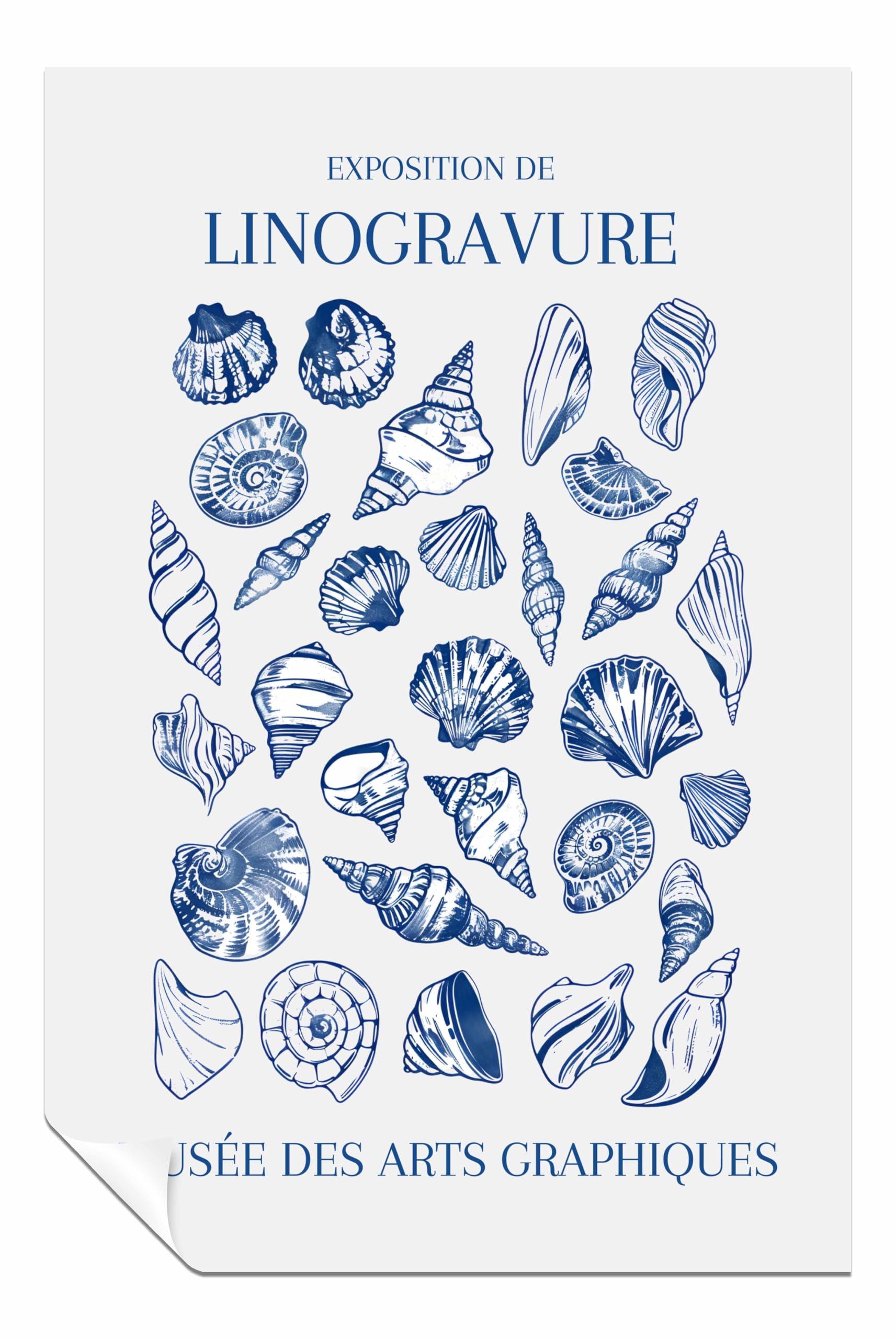 Lino Seashell Art Market Unframed Poster Print, Pictures for Home Walls, Bedroom, Living Room & Bathroom Decor 61x41cm (24x16in)