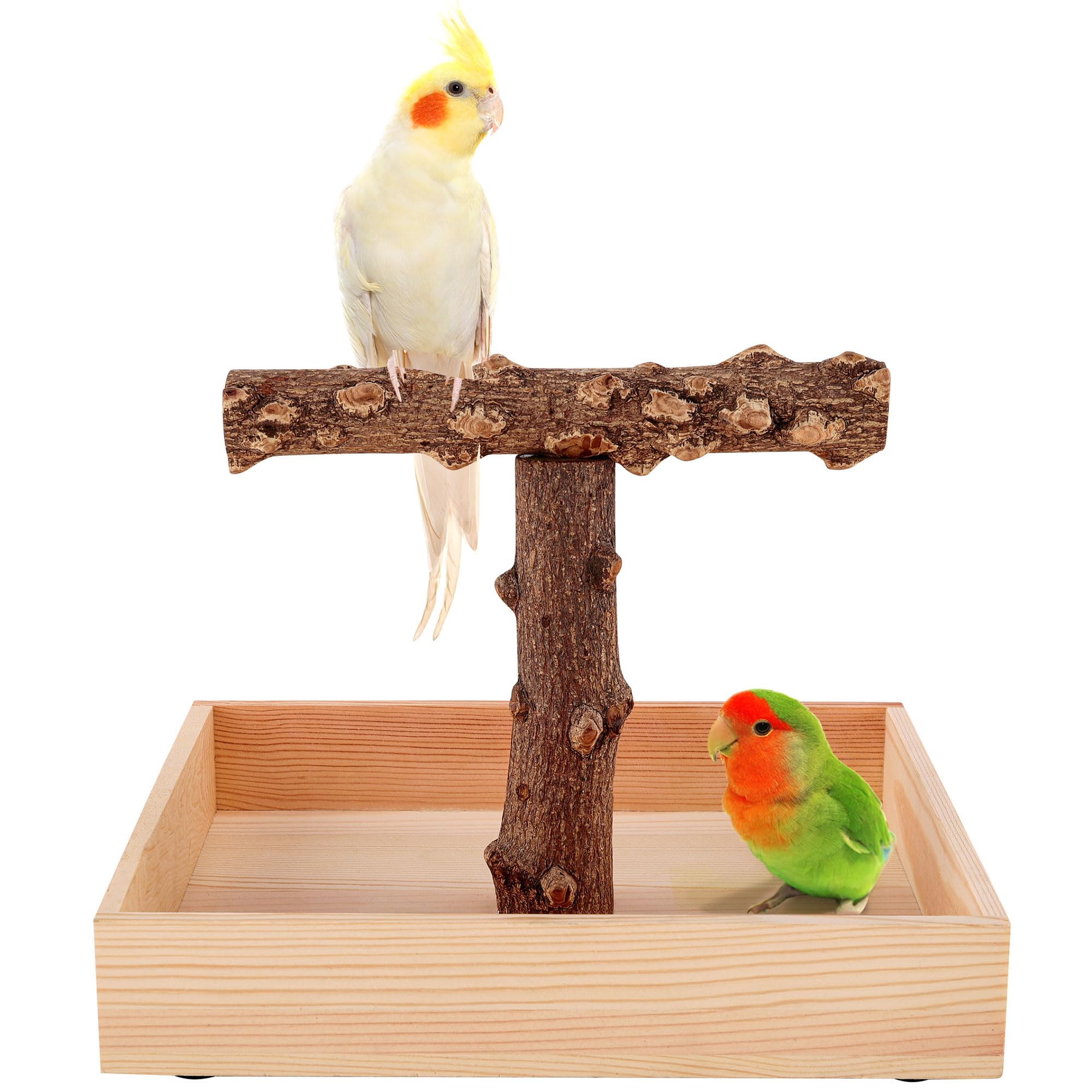 Filhome Bird Perch, Portable Tabletop Bird Stand, Training Play T Shaped Stand for Parrot Parakeet Cockatiels Conures Budgies Finch Lovebirds