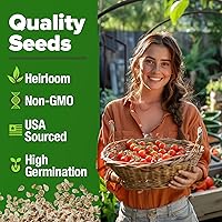 Vista 102 de HOME GROWN Semillas de diente de león para plantar 600 semillas de hierbas medicinales tradicionales (~ 0.01 oz) sin OMG cultivan hojas y flores