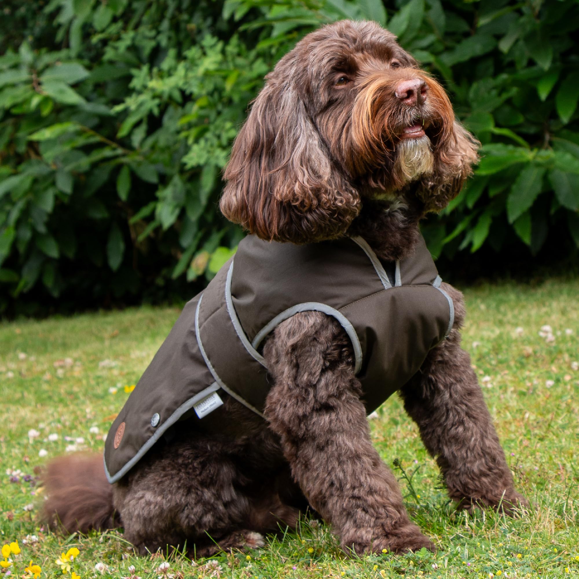 Ancol Heritage Wax Cotton Dog Coat, Waterproof Fleece Lined Pet Jacket with Chest Protector and Elastic Neck - Image 4