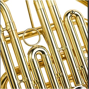 Professional French Horn B flat 4 key single row French horn brass instrument