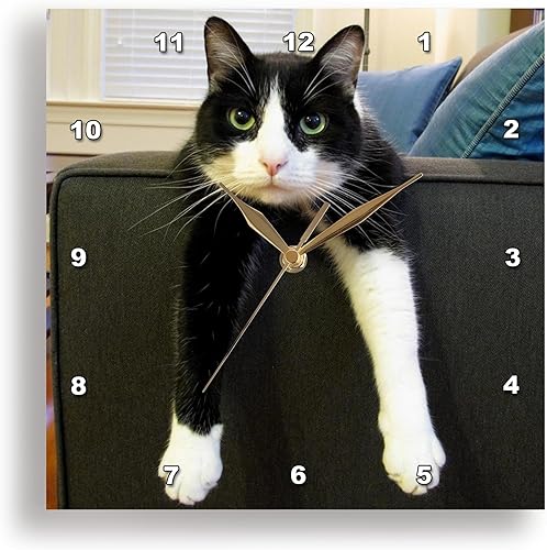 3dRose dpp_23450_2 Reloj de pared con gato blanco y negro con nada que hacer 13 x 13 pulgadas