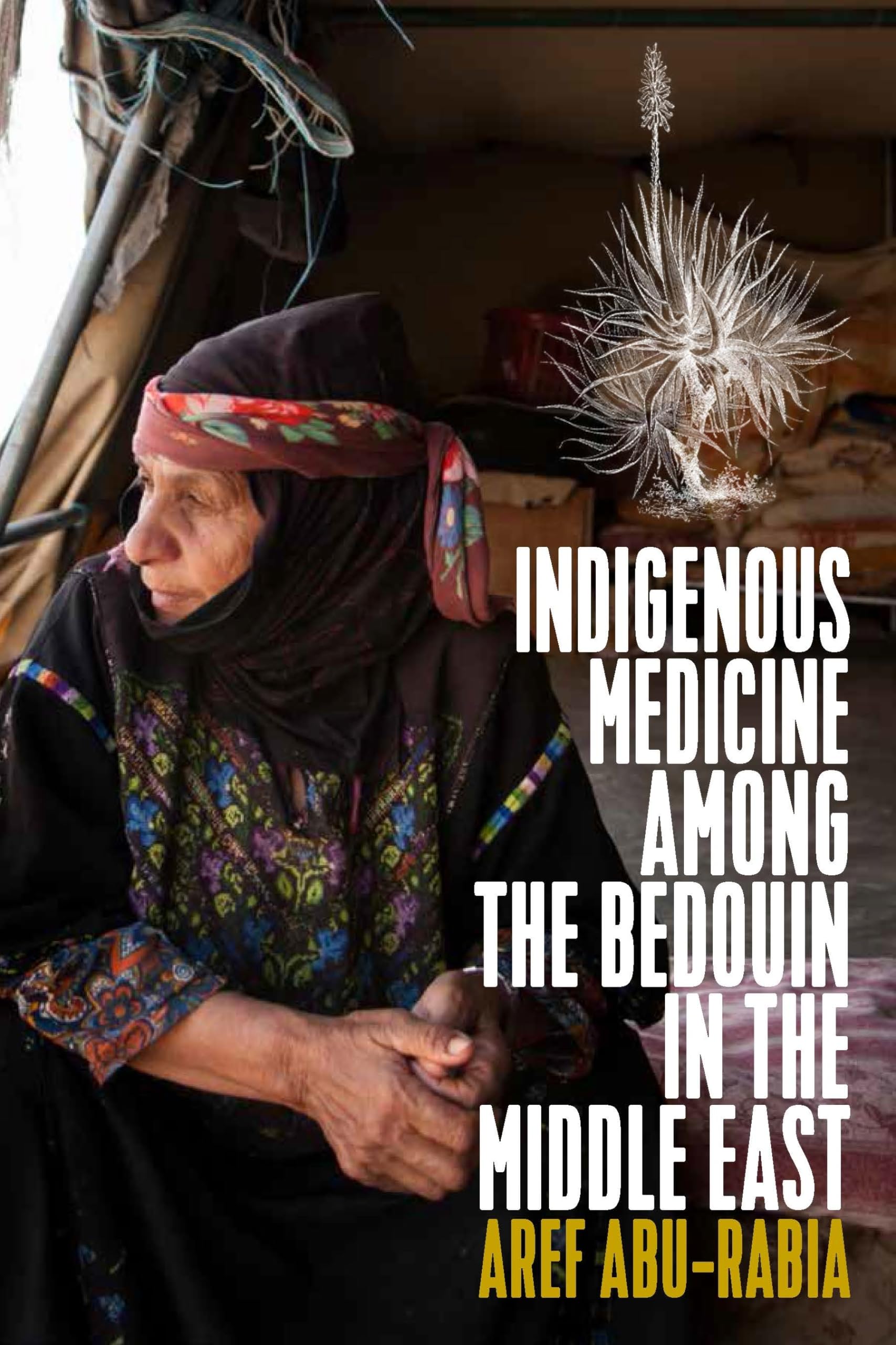 Berghahn Books Indigenous Medicine Among the Bedouin in the Middle East
