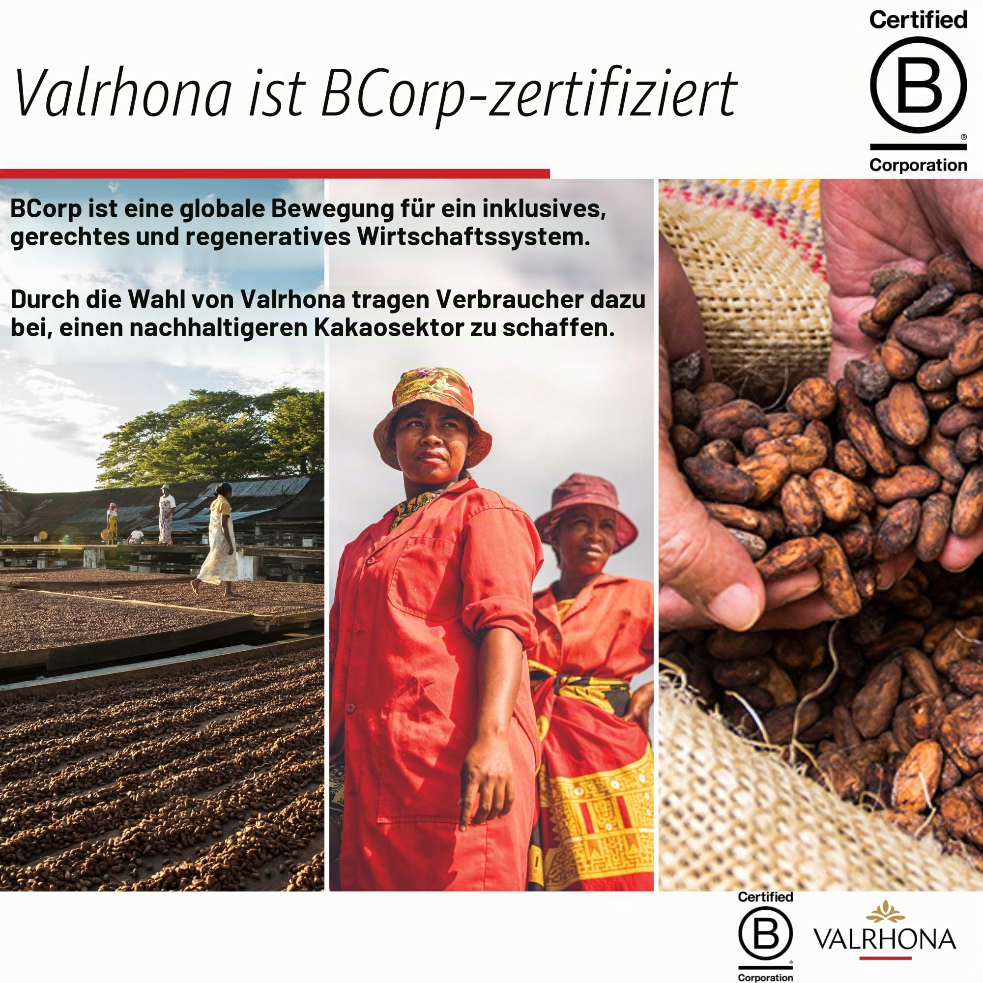 Valrhona Blonde Schokobohnen Dulcey mit 35% Kakaoanteil, 1 KG