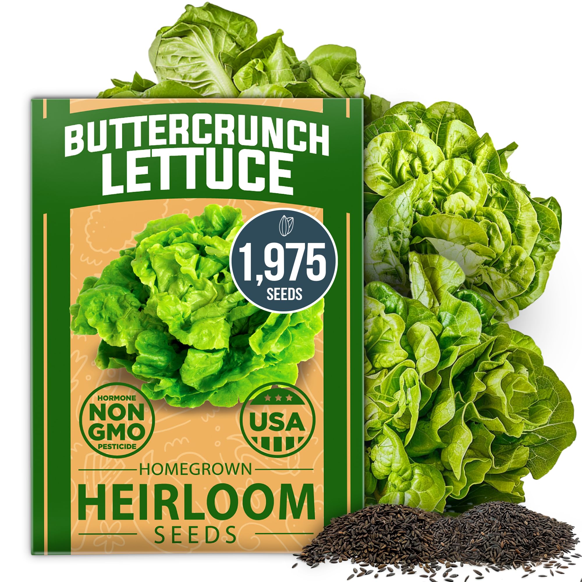 HOME GROWN Non GMO Buttercrunch Lettuce Seeds Bulk Pack - 1975 Heirloom Seeds for Hydroponic Garden Indoor Outdoor - Butter Lettuce Vegetable for Planting (Lactuca Sativa)
