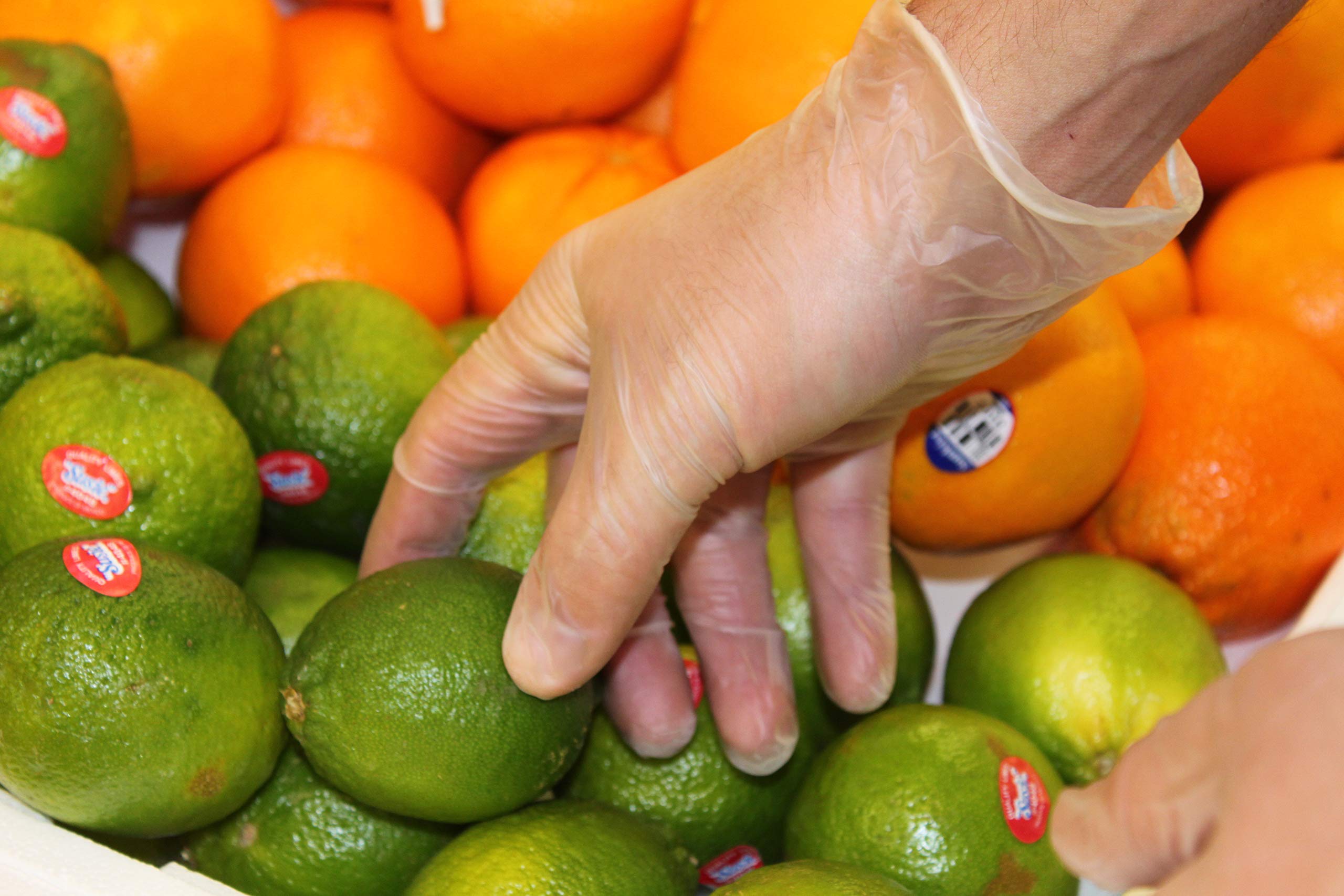 Golden Protective Services Outlet GPS Standard Disposable Vinyl Gloves, Non-Sterile, Ambidextrous, 4 Mil, 100 Gloves Per Box (Medium)