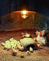 Vista 6 de Solar Pendant Light Indoor Outdoor, Solar Shed Light IP65 Waterproof Metal Powered Hanging Chandelier, Gazebo Lights with Pull Cord for Garden