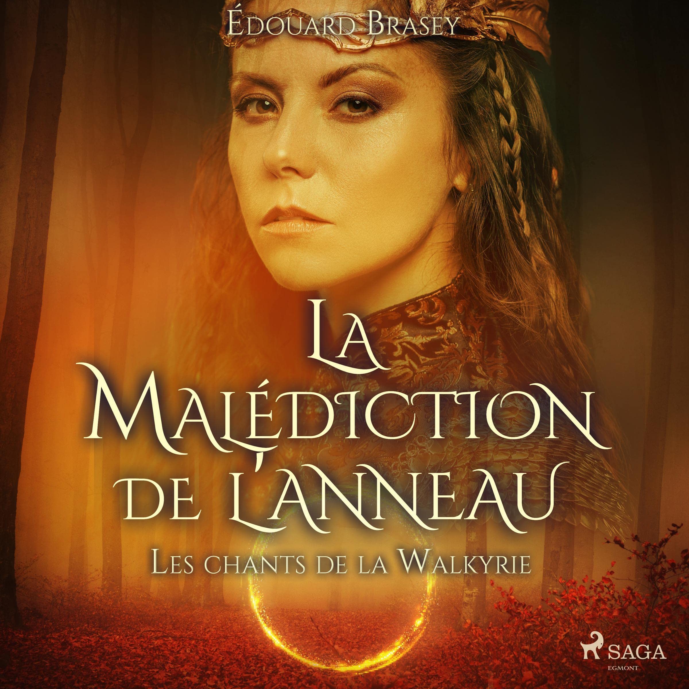 Cover art for Les chants de la Walkyrie